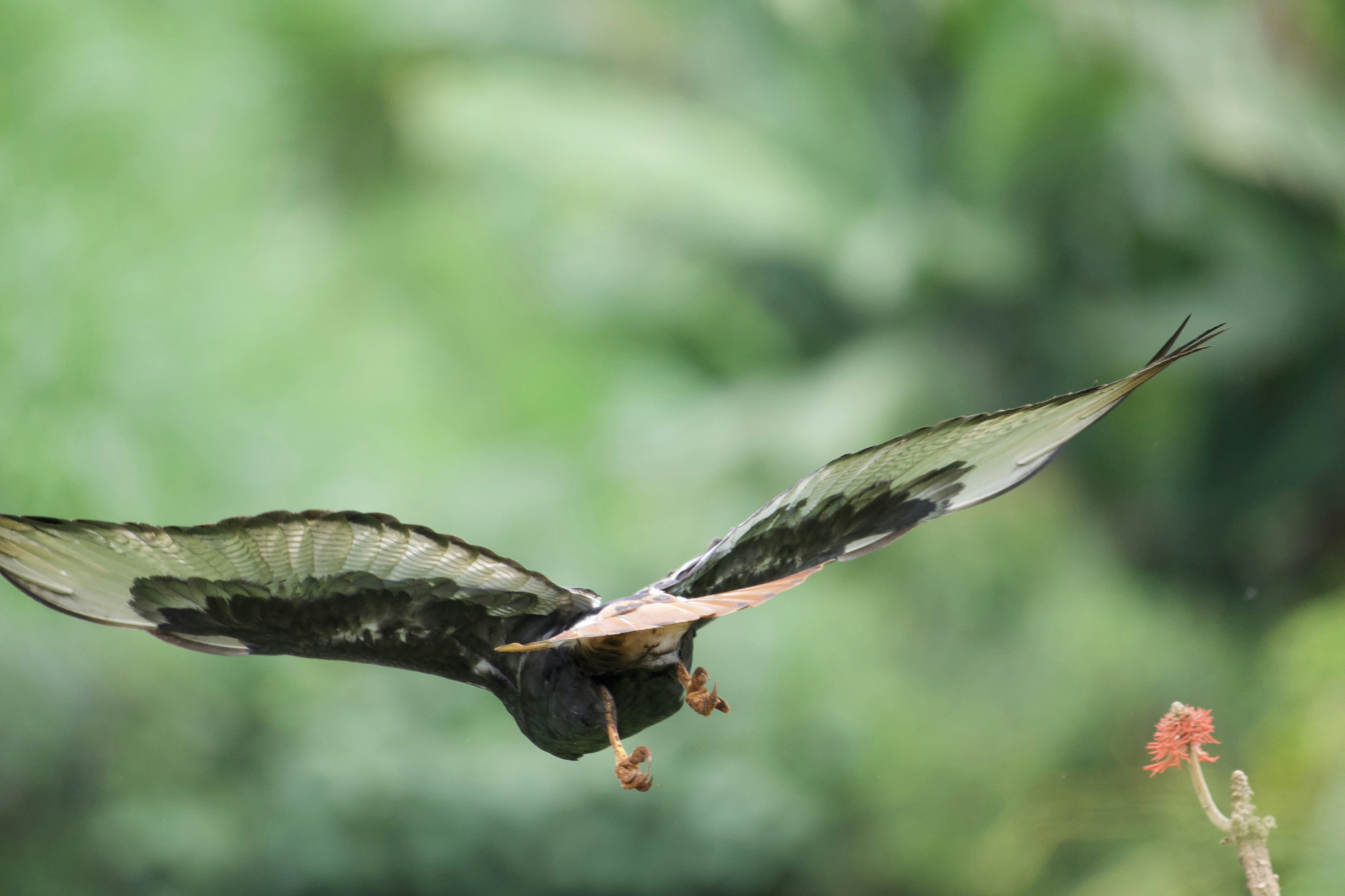 Photo by julius_ngigi