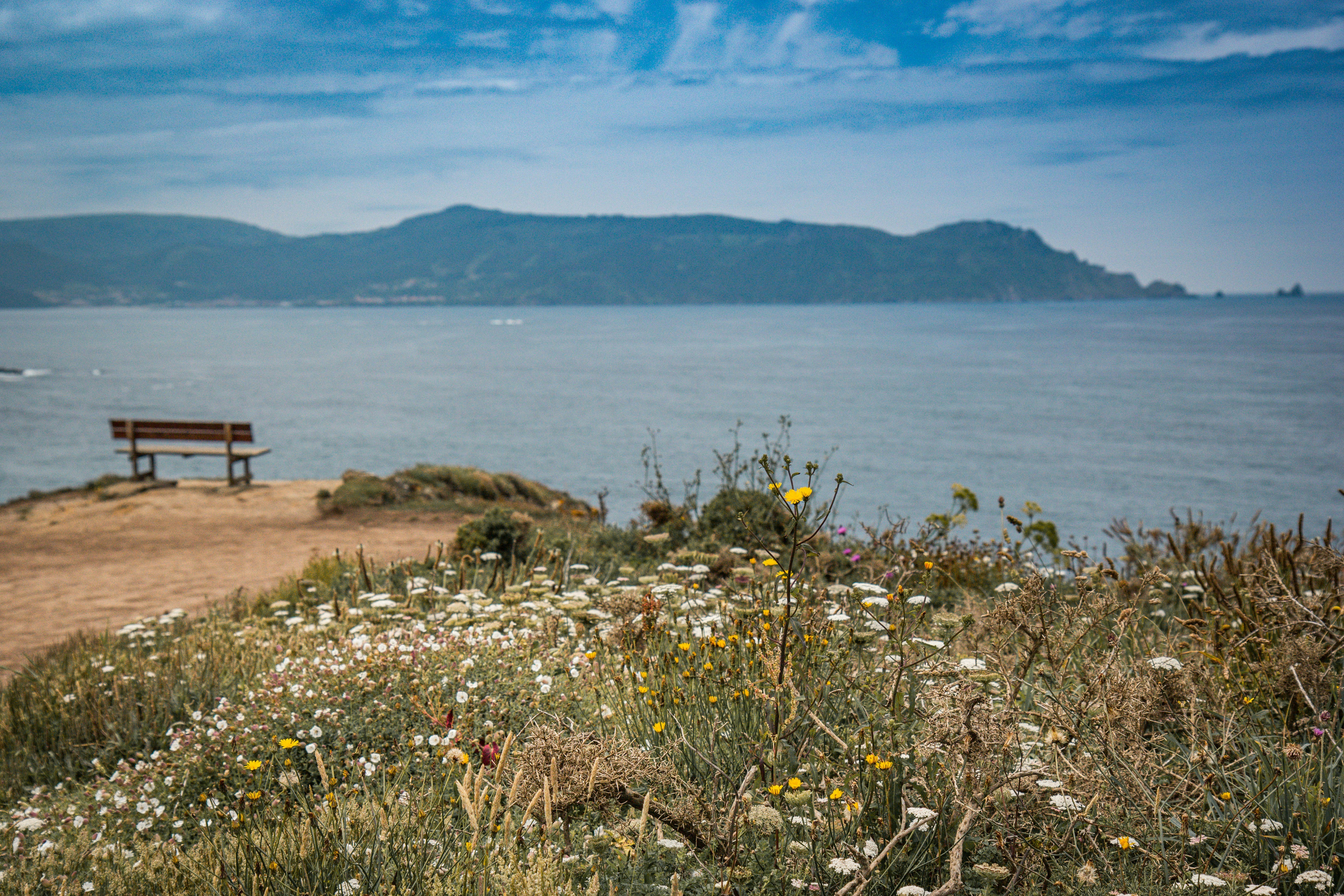 a bench overlooking a body of water