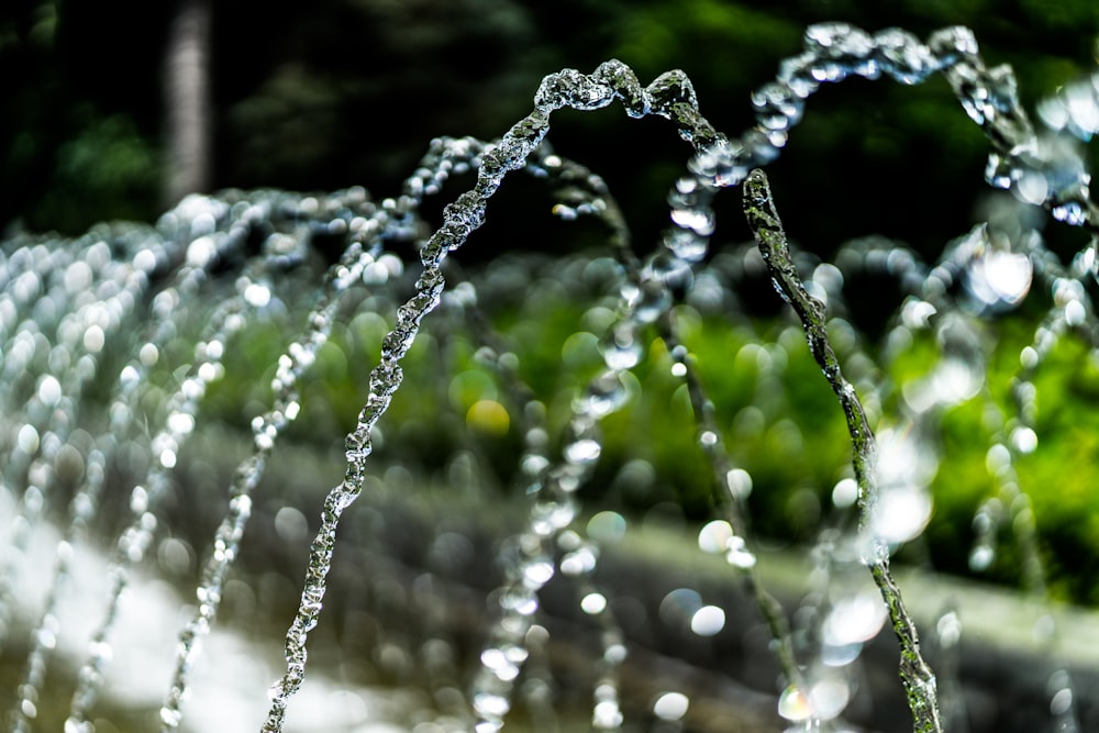 water droplets on a web