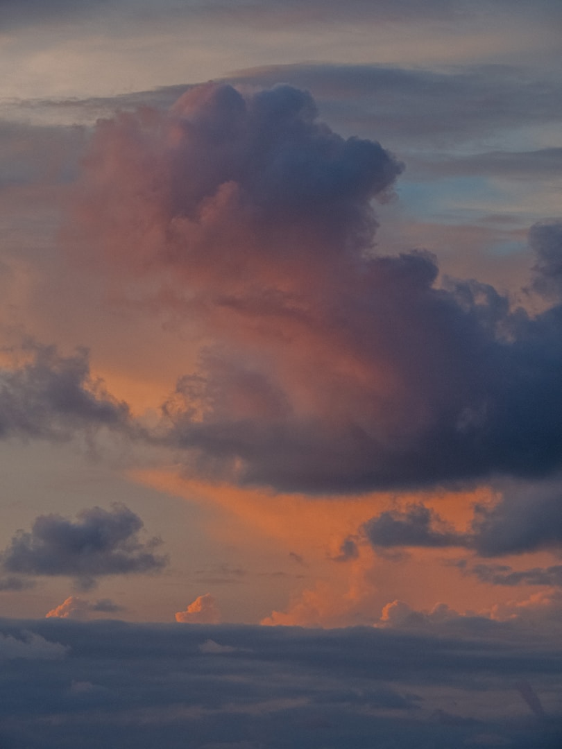 Tropical palm trees in Canggu