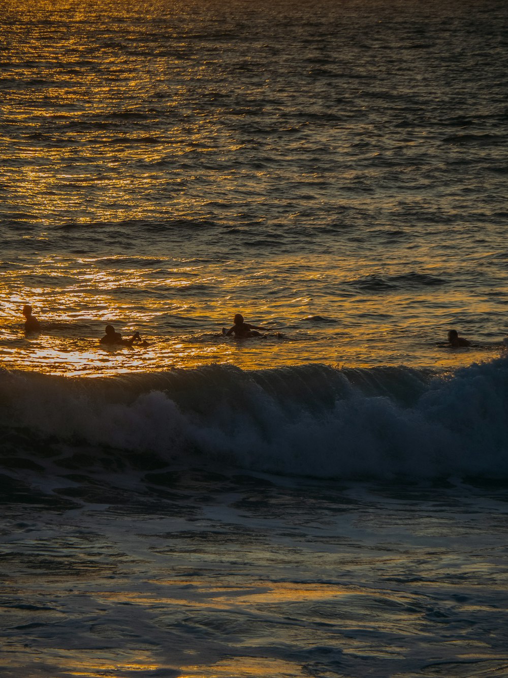 a group of people swimming in the water