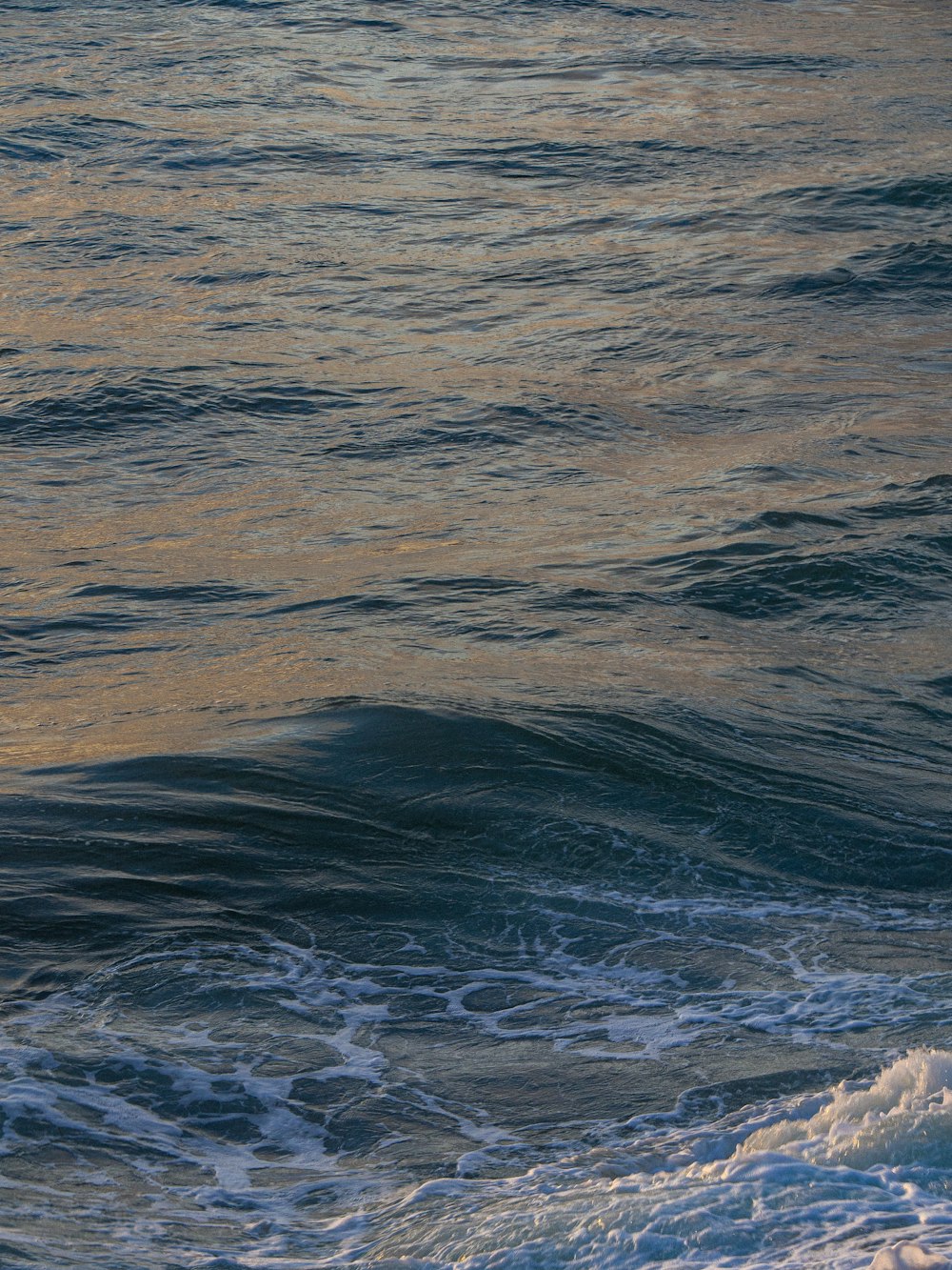 un cuerpo de agua con olas