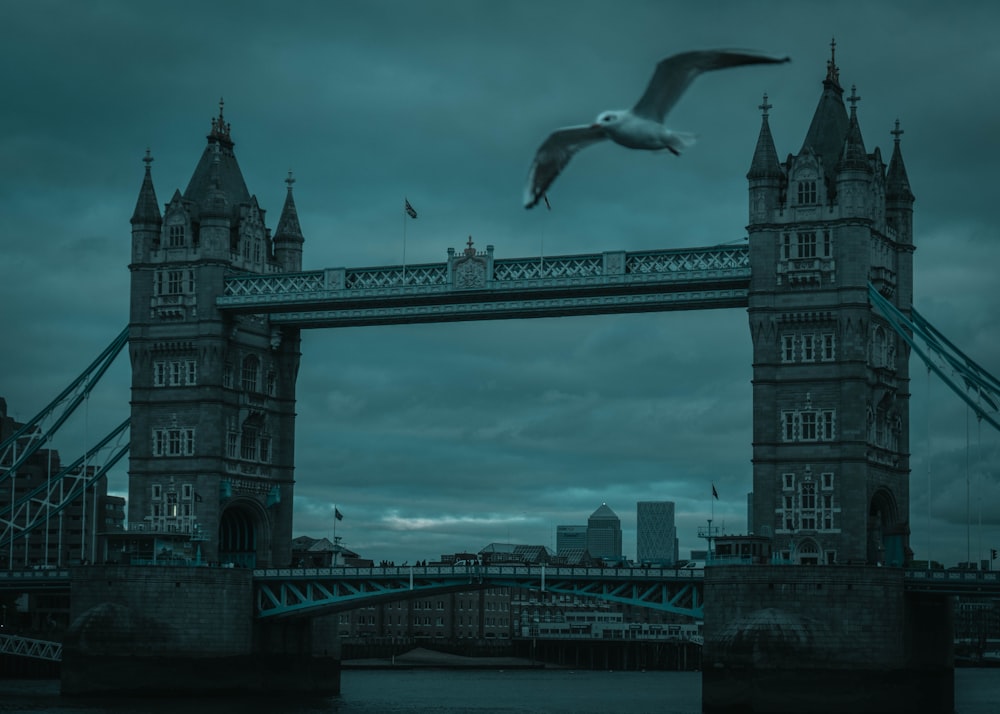 a bird flying in front of a bridge