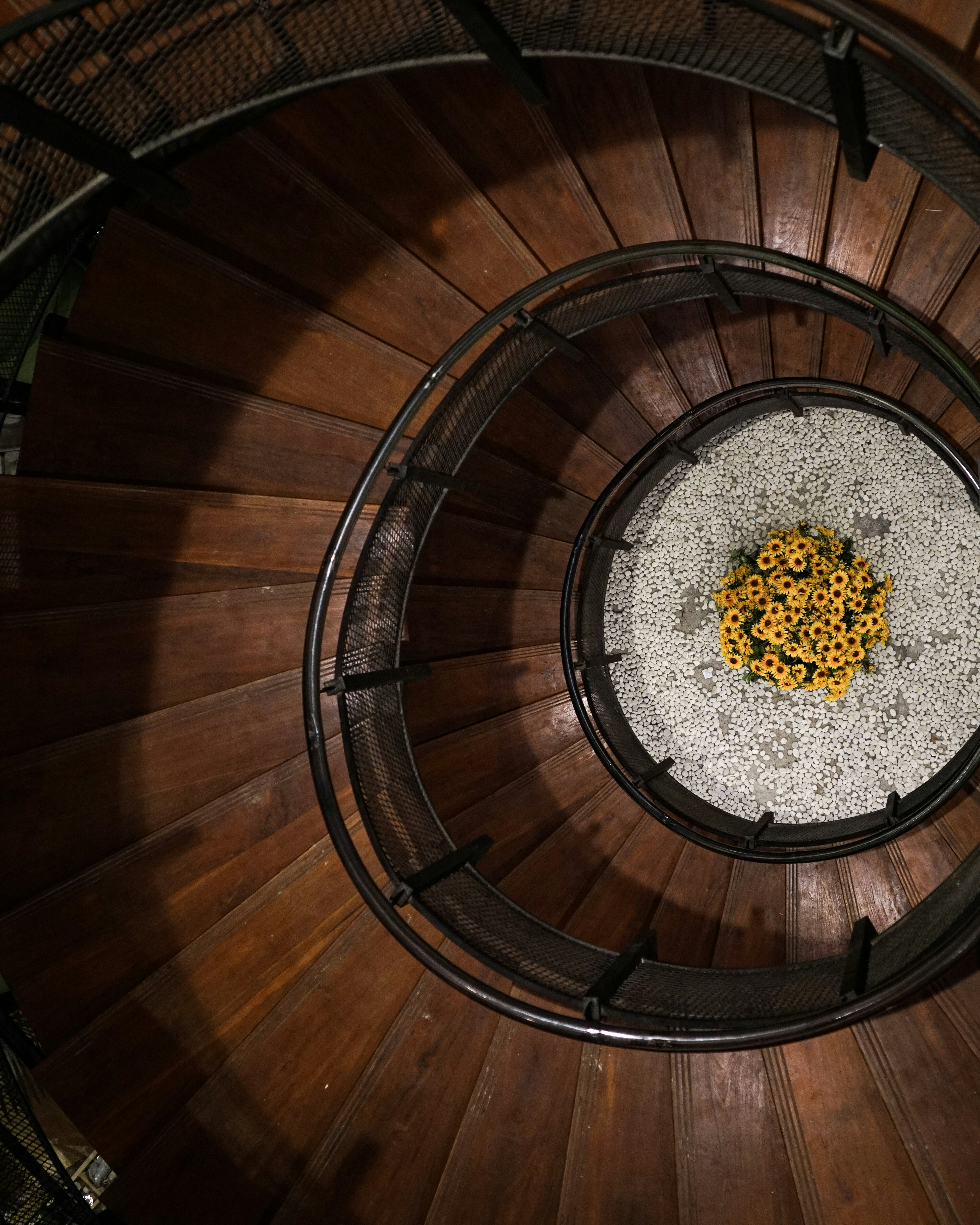 a spiral staircase with a gold railing