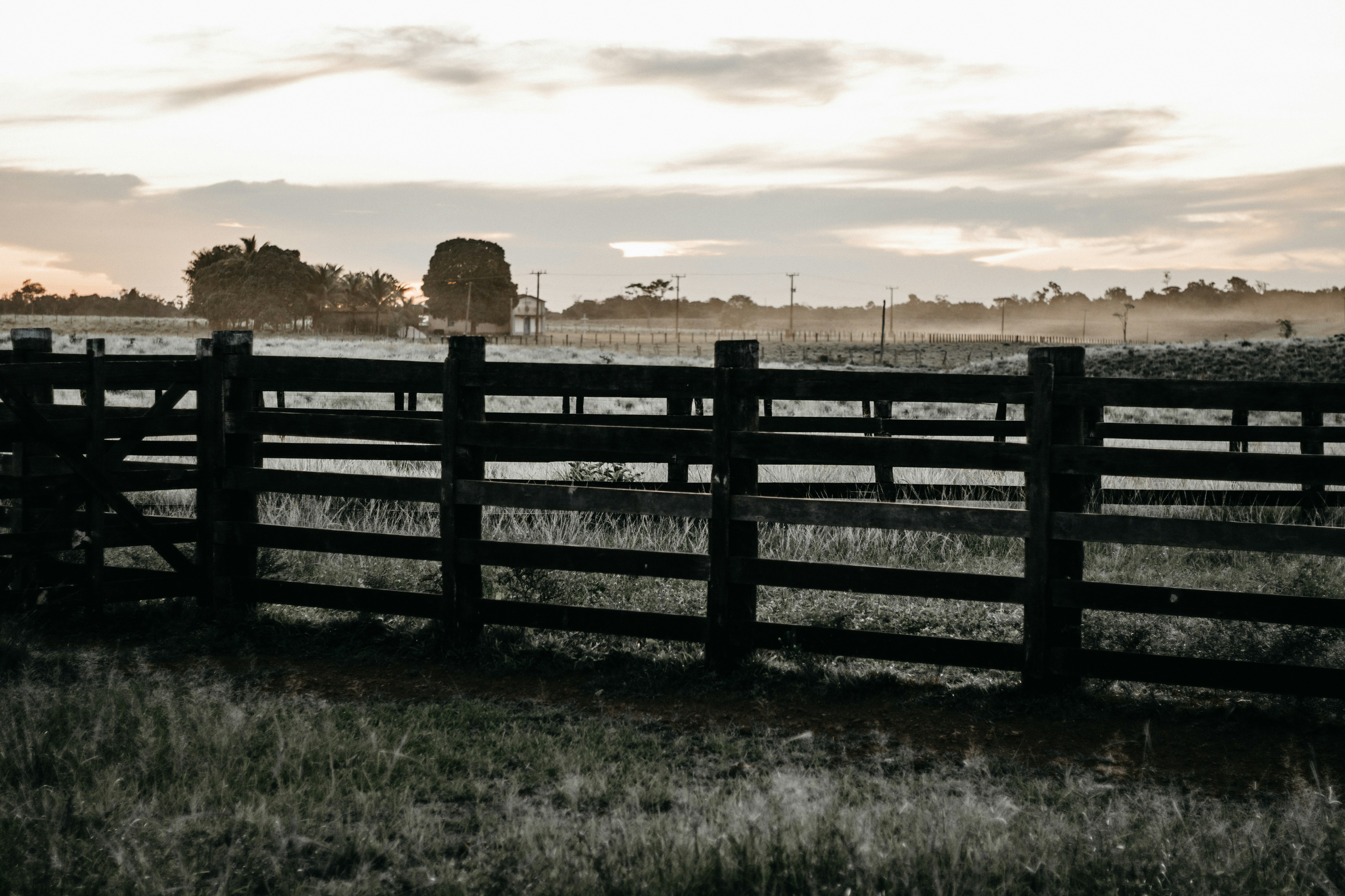 Photo by kawerodriguess