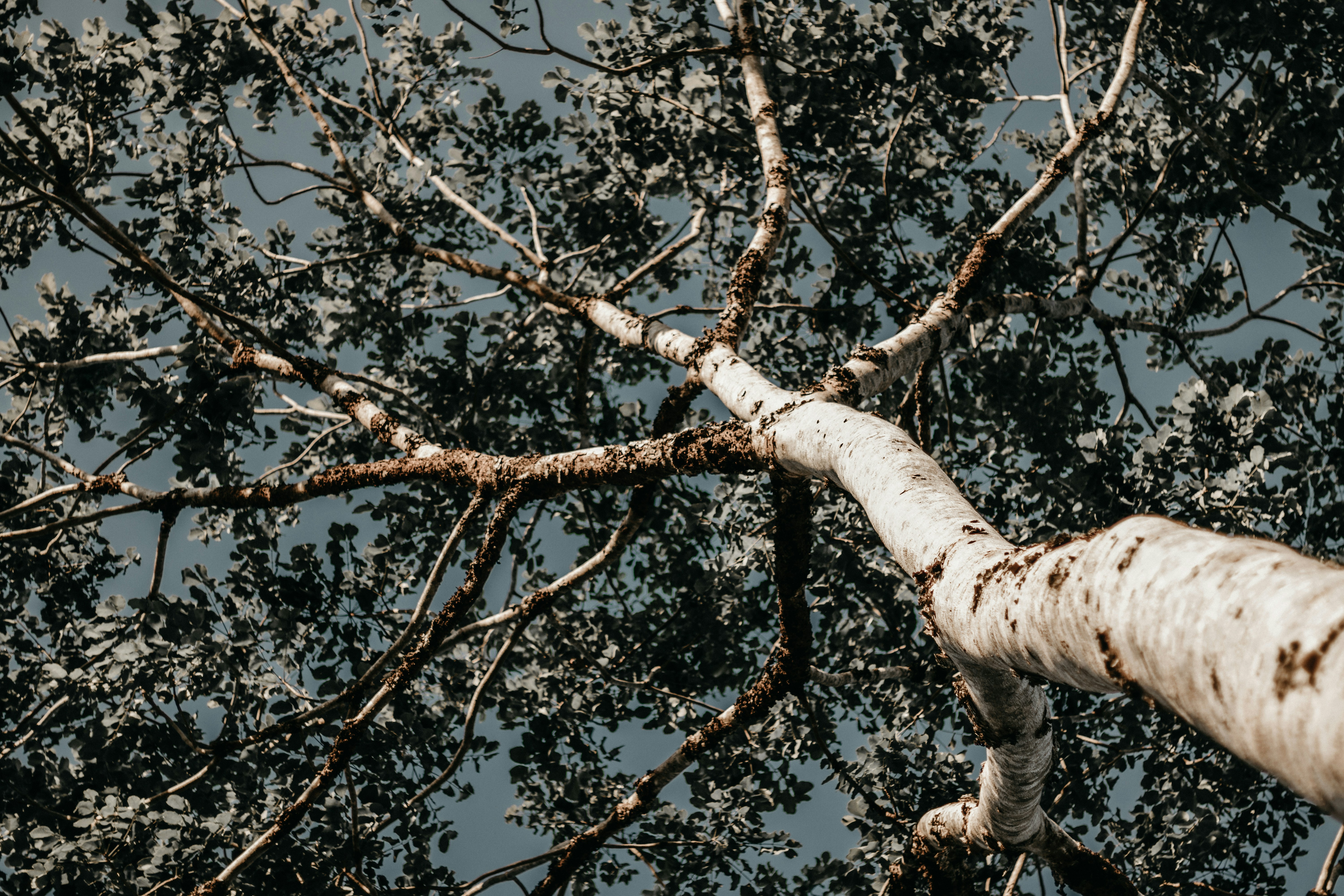 Photo by kawerodriguess