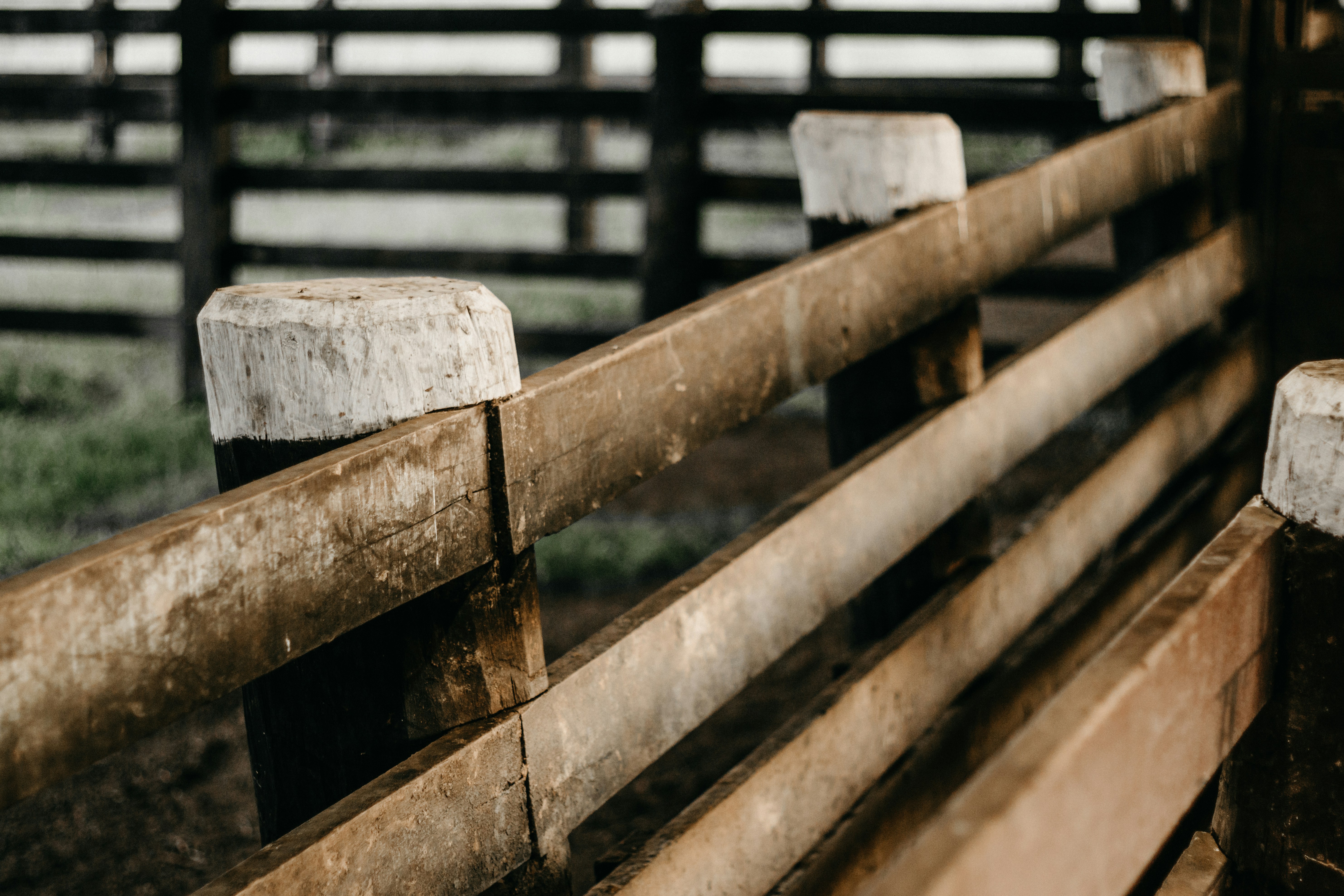 Photo by kawerodriguess