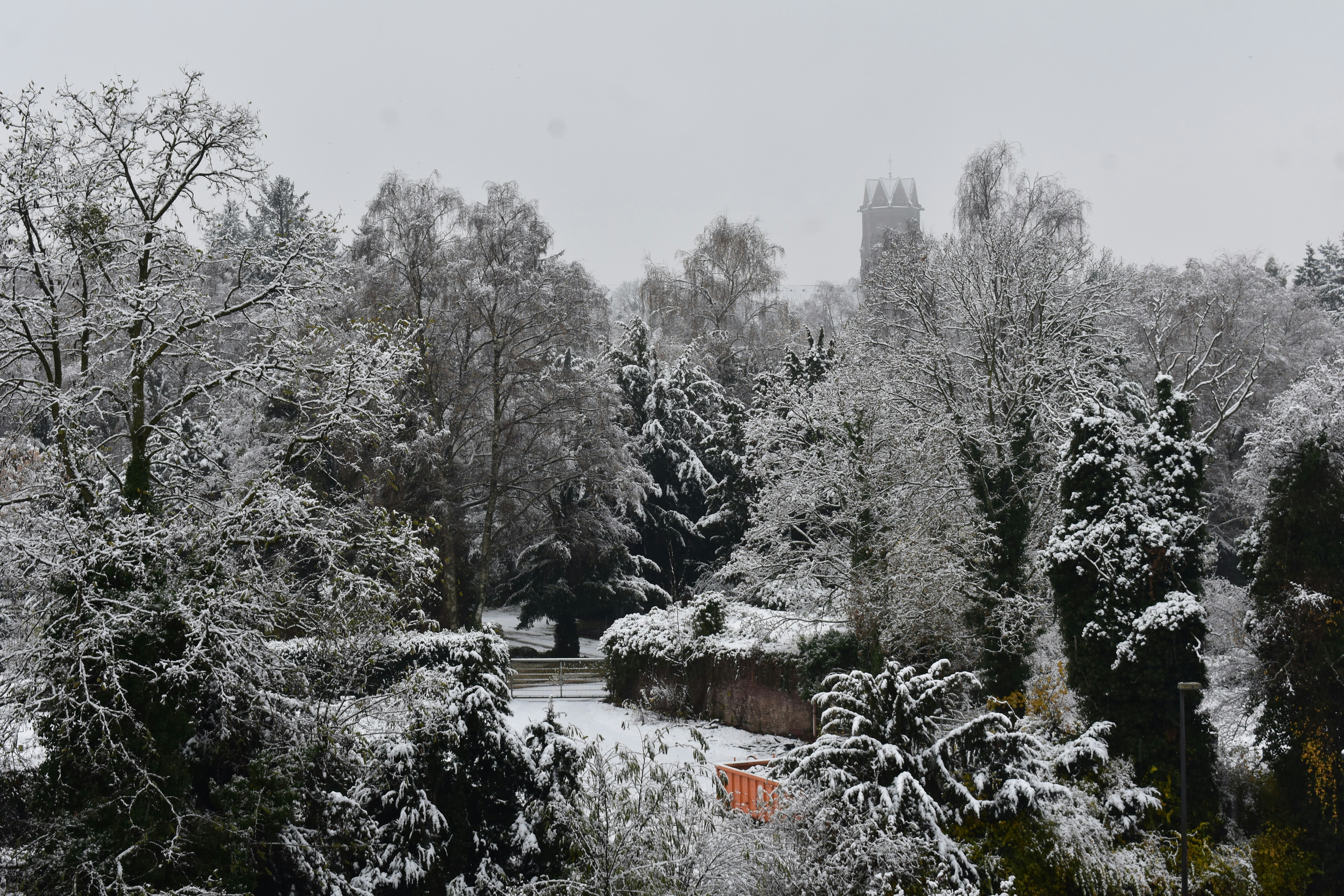 木々のある雪景色の写真 Unsplashの無料ドイツ写真