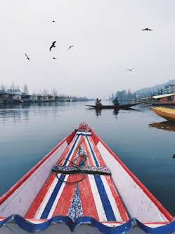 a boat on the water