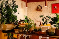 A cozy indoor space with several potted plants displayed on a wooden table. The wall in the background is made of white brick with a wreath and a red abstract art piece. Soft lighting hangs from the ceiling, illuminating the plants and giving the room a warm ambiance.