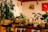A cozy indoor space with several potted plants displayed on a wooden table. The wall in the background is made of white brick with a wreath and a red abstract art piece. Soft lighting hangs from the ceiling, illuminating the plants and giving the room a warm ambiance.