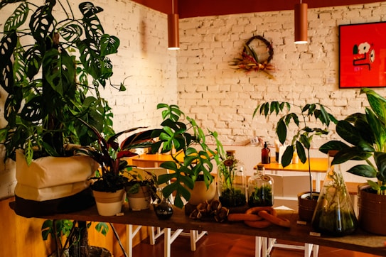 A cozy indoor space with several potted plants displayed on a wooden table. The wall in the background is made of white brick with a wreath and a red abstract art piece. Soft lighting hangs from the ceiling, illuminating the plants and giving the room a warm ambiance.
