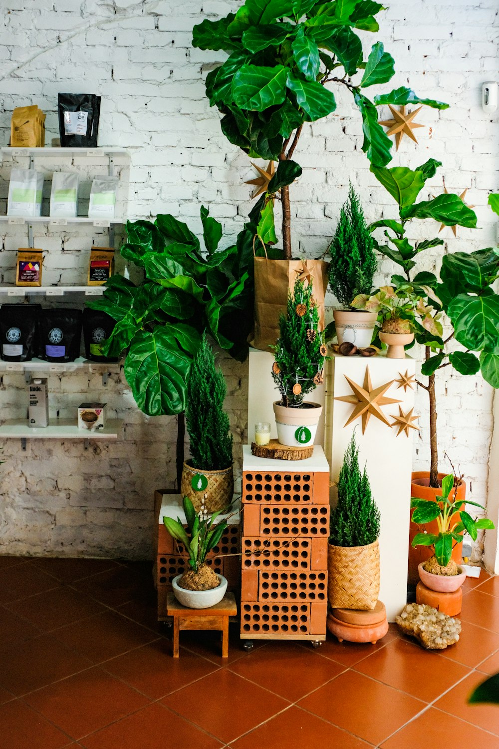 a room with potted plants