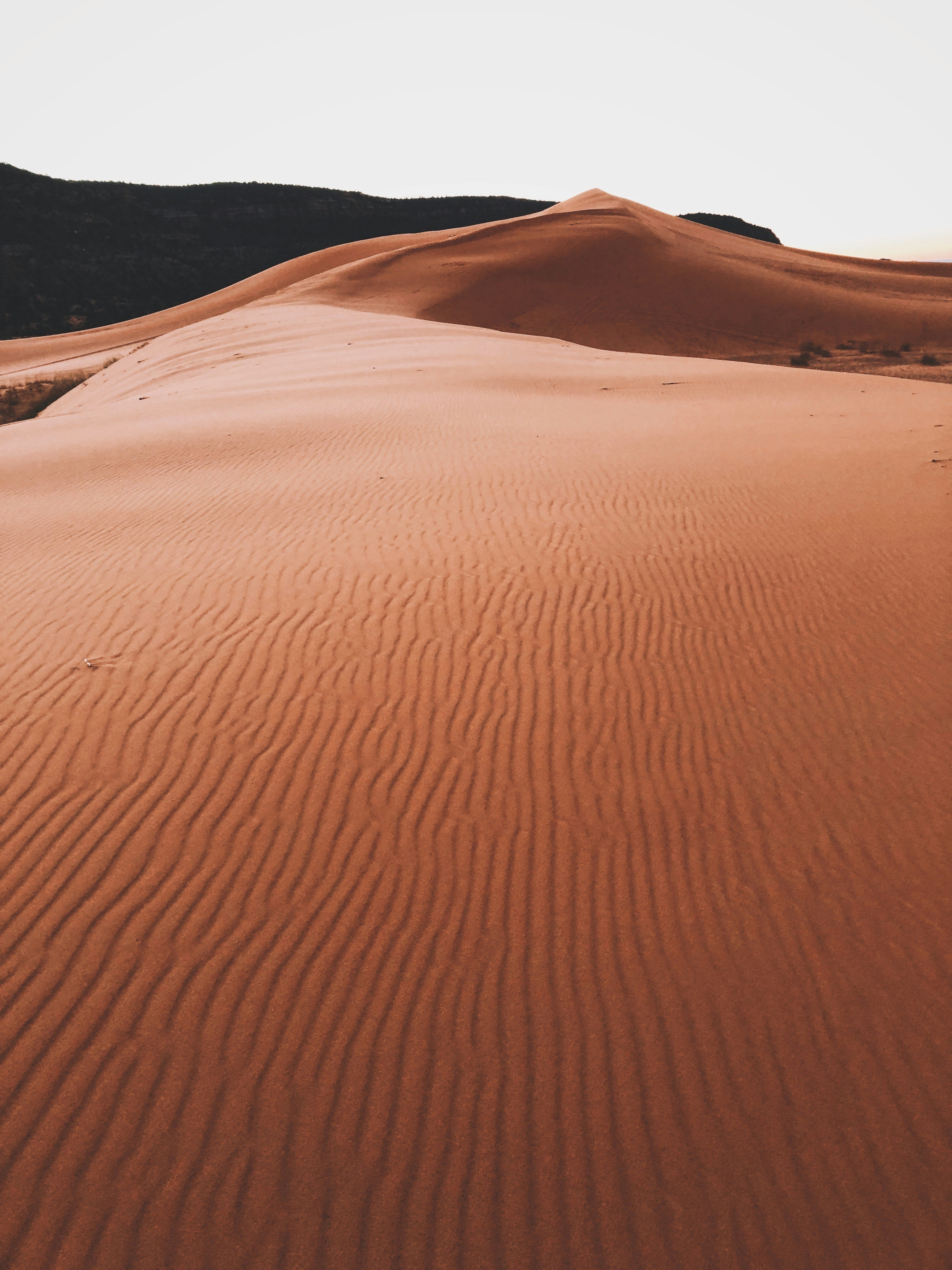 Photo by andrewmeehan