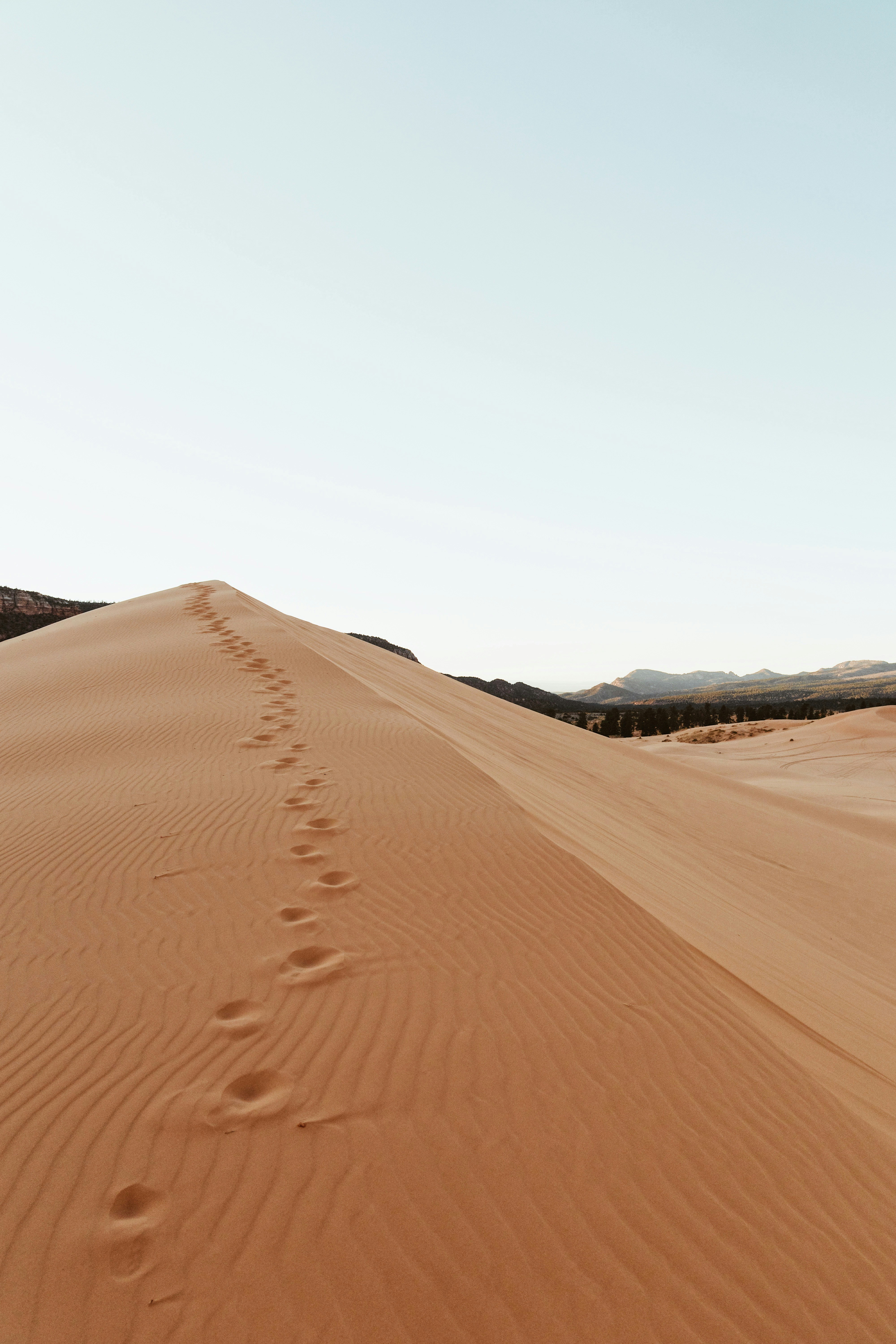 Photo by andrewmeehan