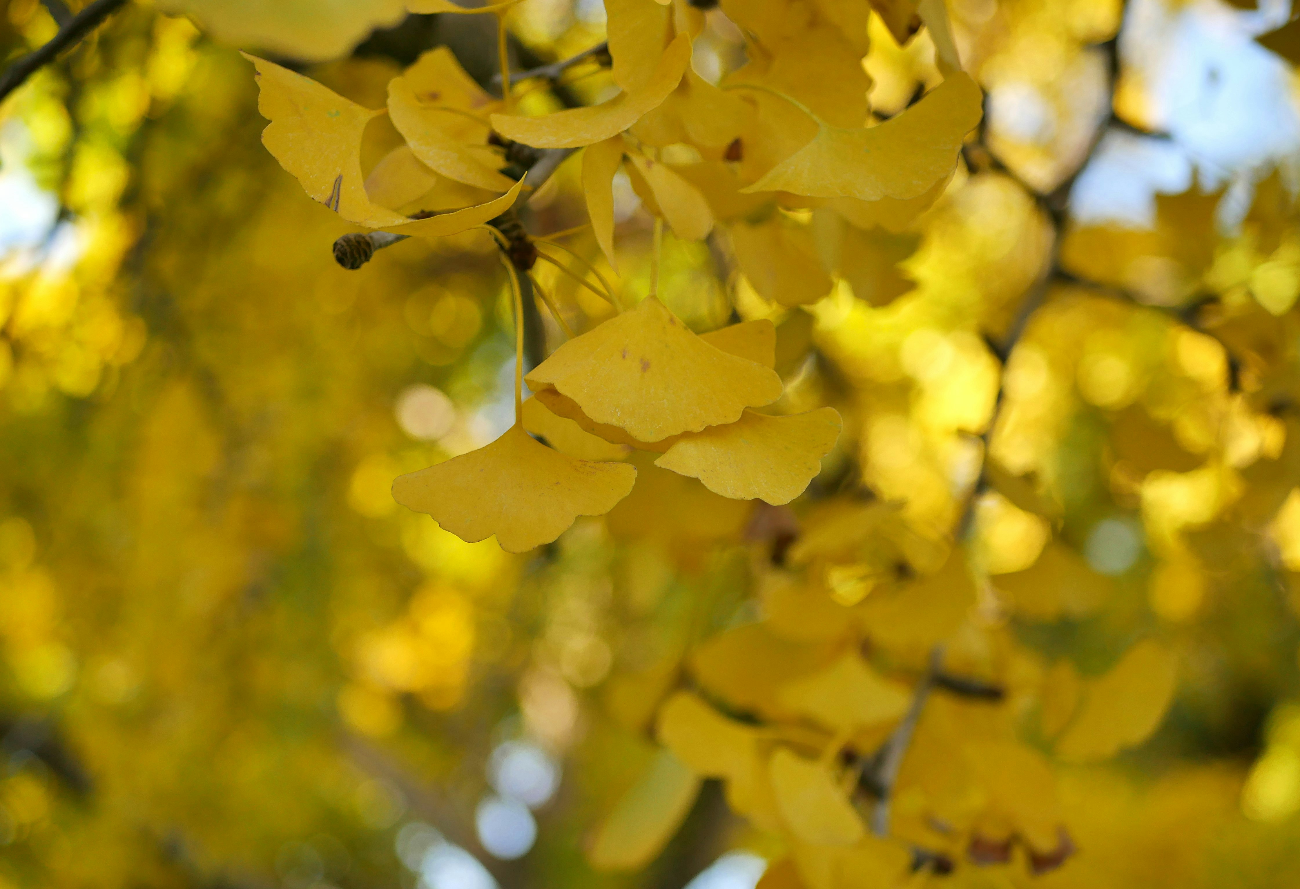 Photo by agnesbarraud