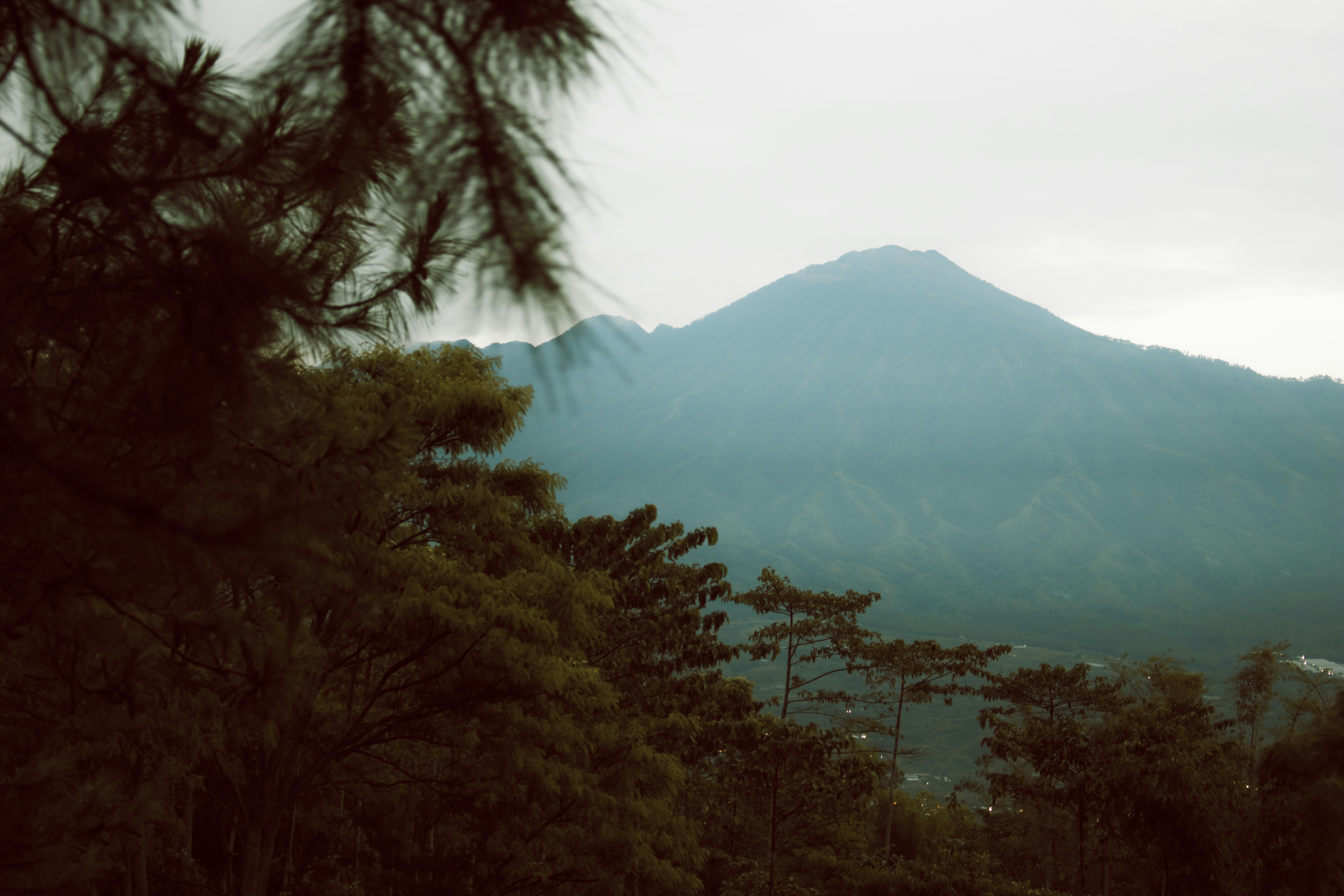 Photo by rakarahmadani