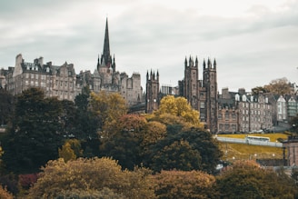 a castle on a hill