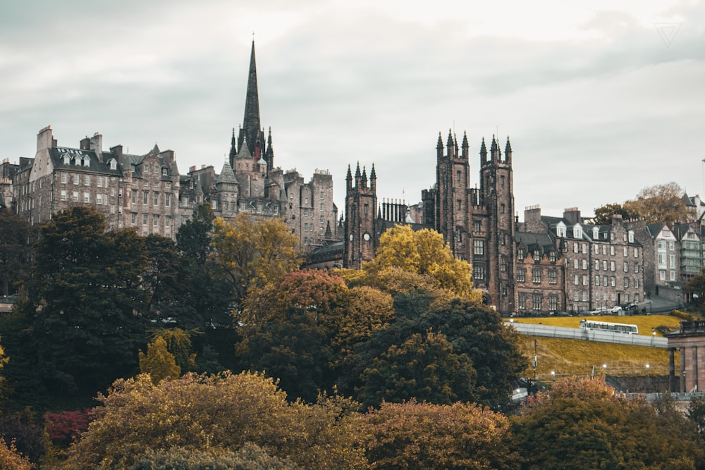 a castle on a hill