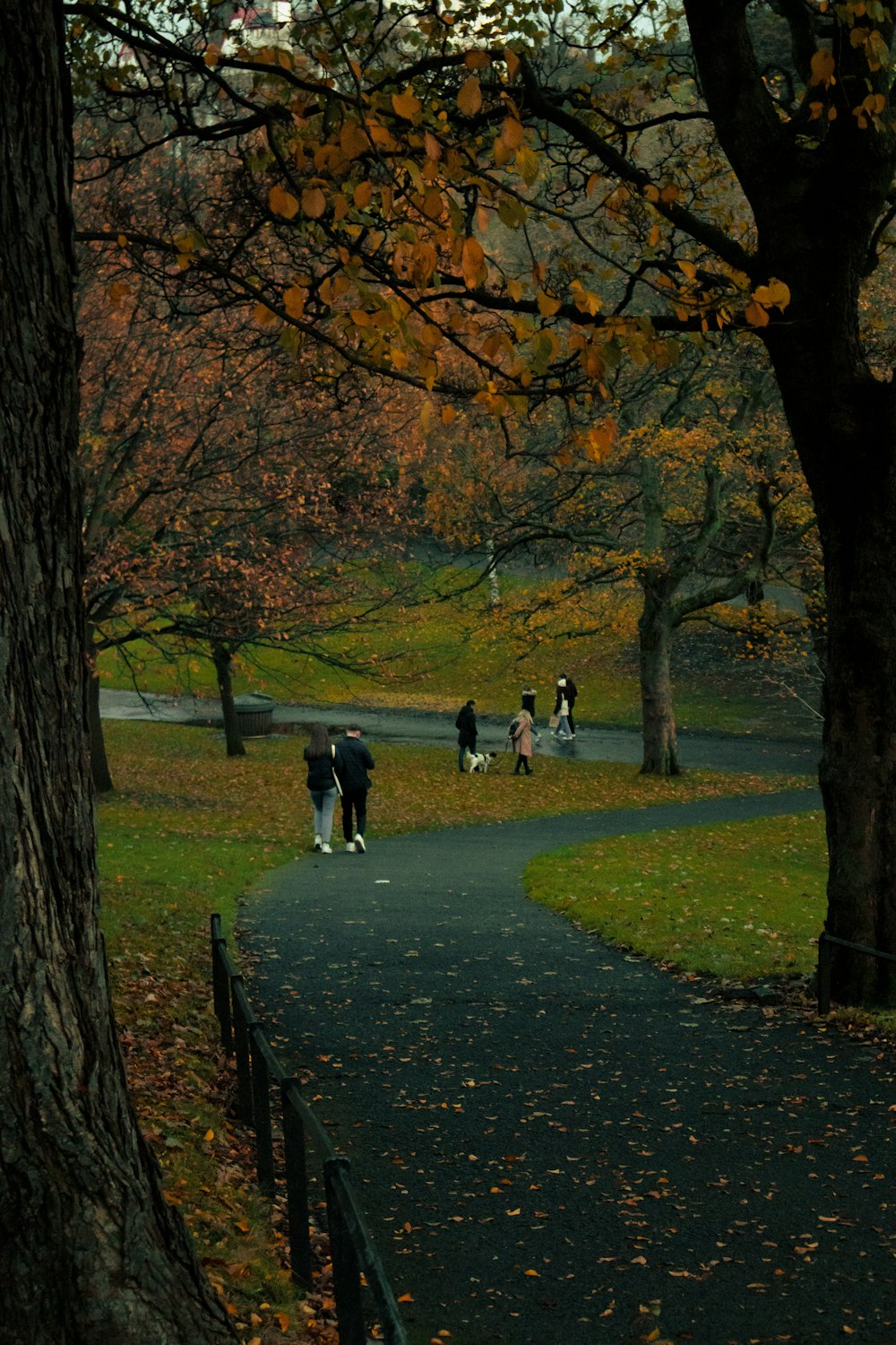 people walking on a path through trees