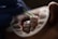 A close-up image of a dental procedure in progress. A dental professional wearing gloves is applying a substance onto the surface of a patient's teeth using a small applicator. The patient's mouth is open, and a dental retractor is being used to keep the lips away from the teeth.