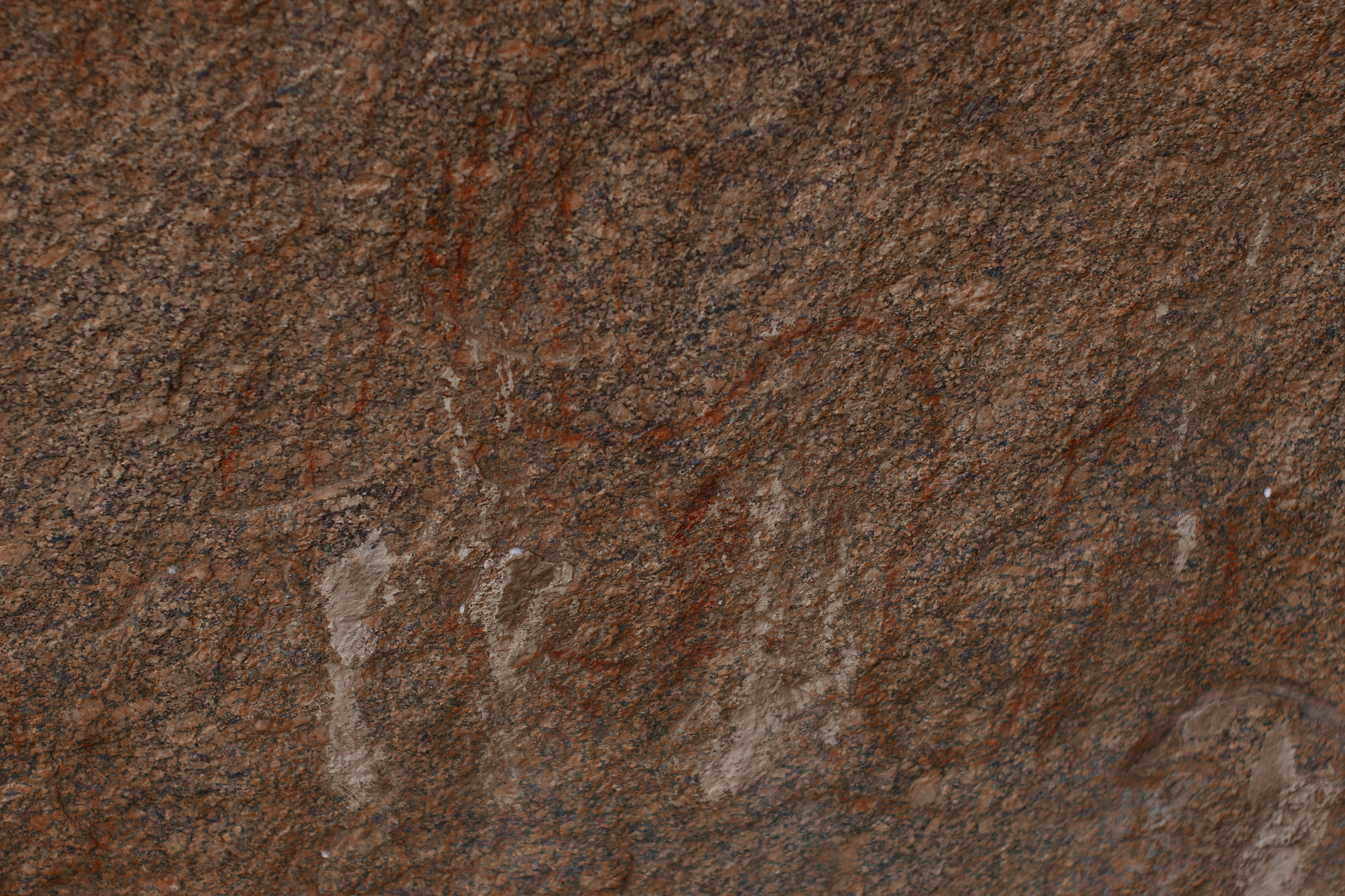 Photo by otaciliomaia