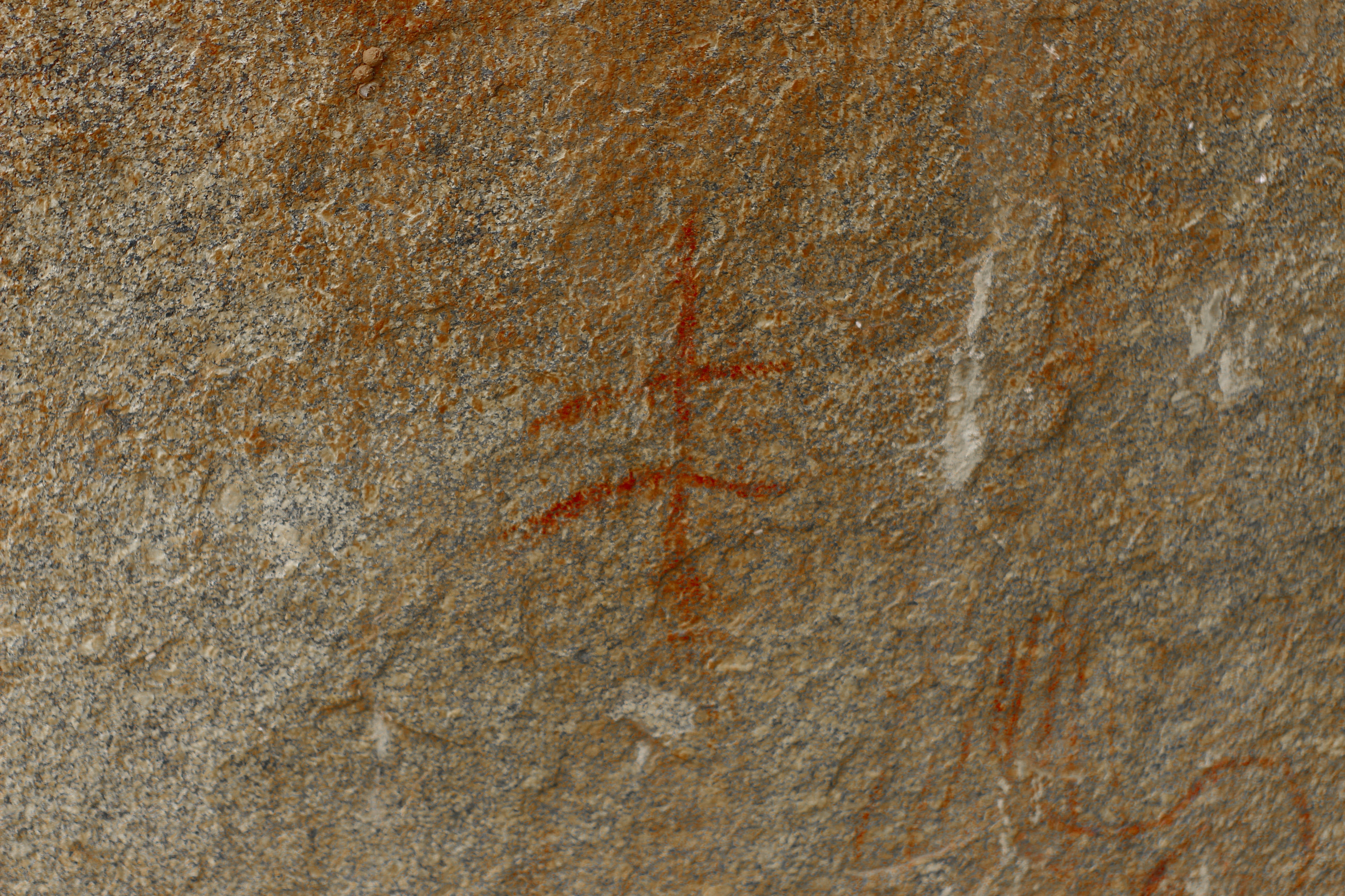 Photo by otaciliomaia