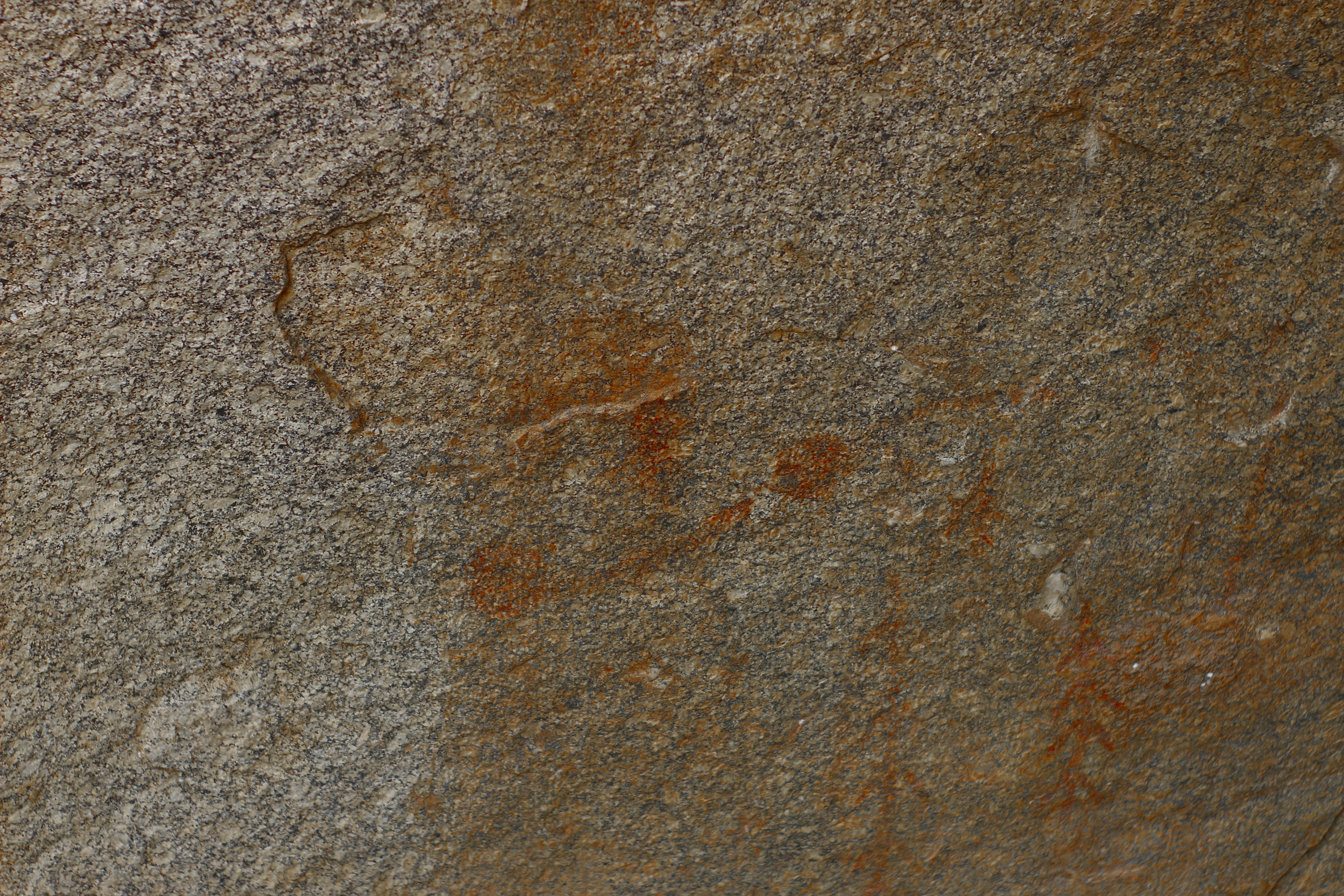 Photo by otaciliomaia