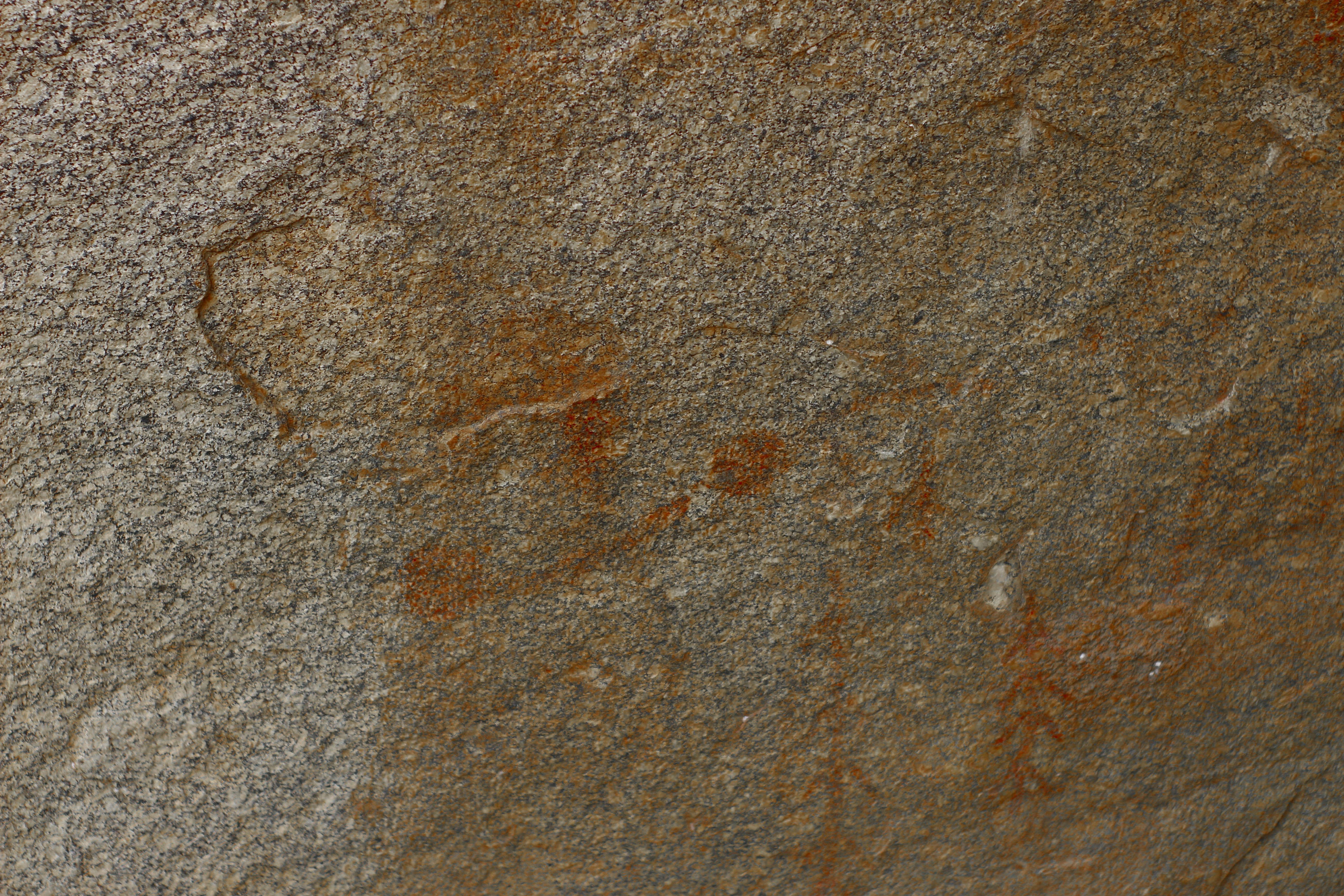 Photo by otaciliomaia