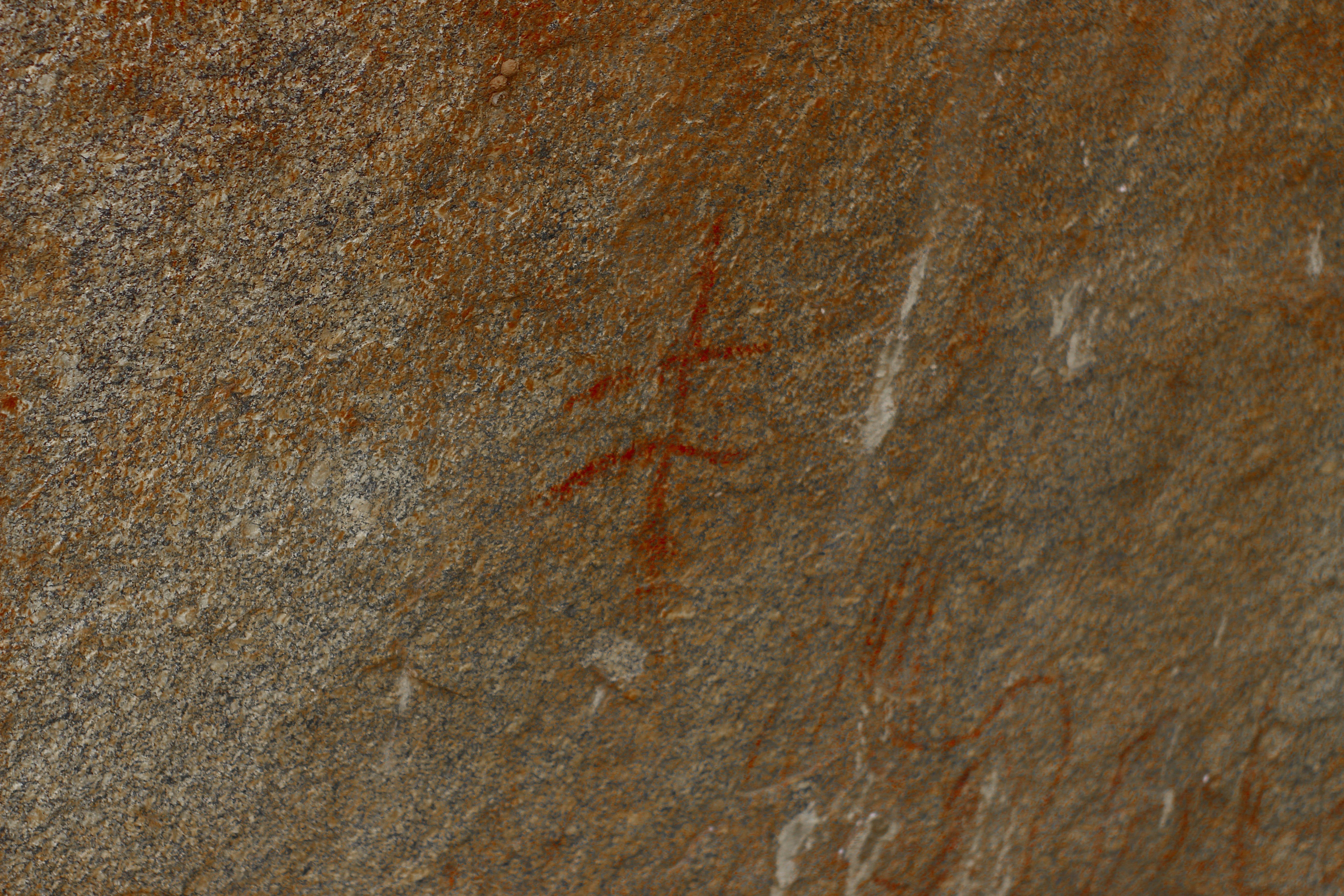 Photo by otaciliomaia