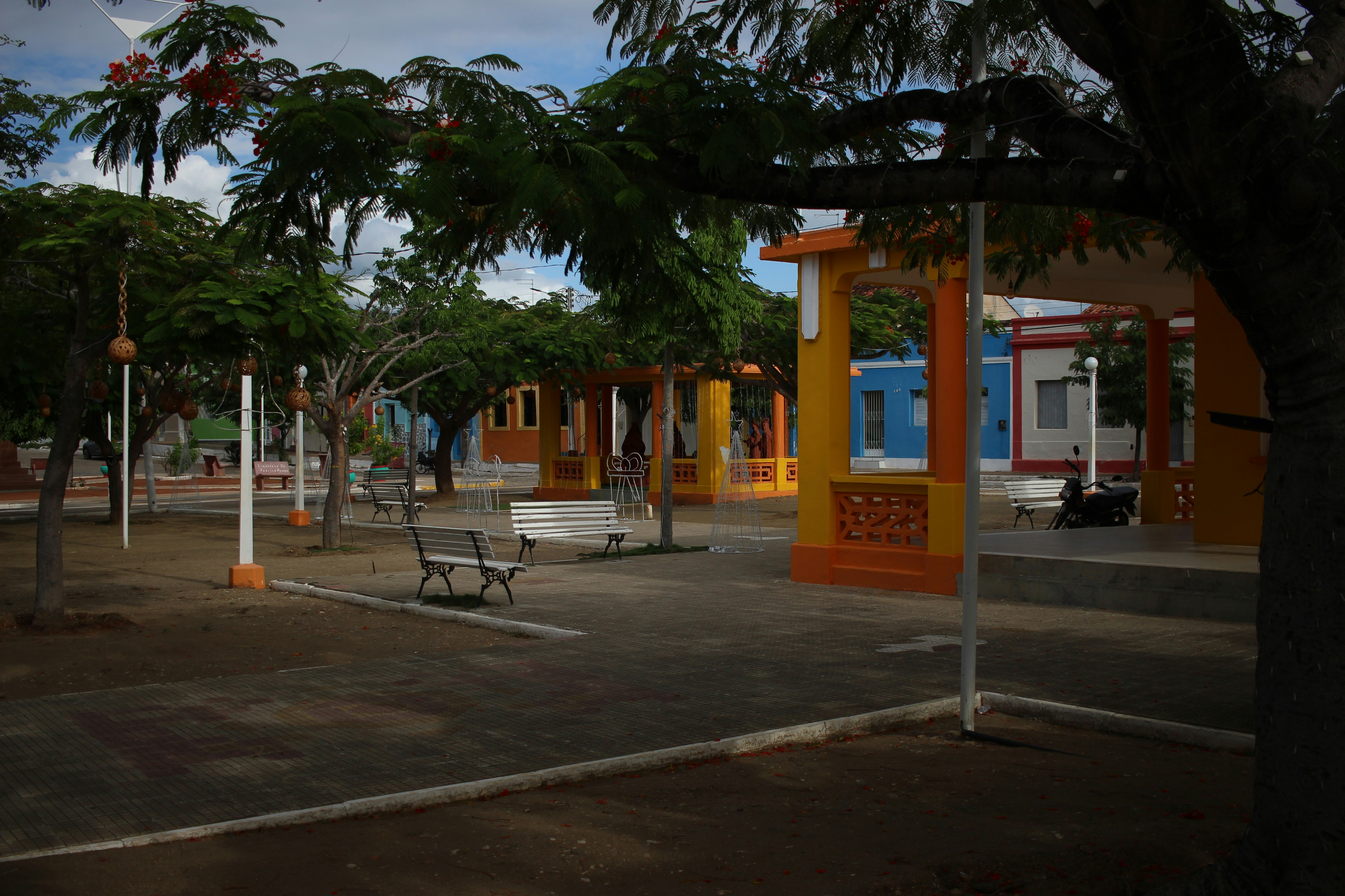 a street with benches and trees
