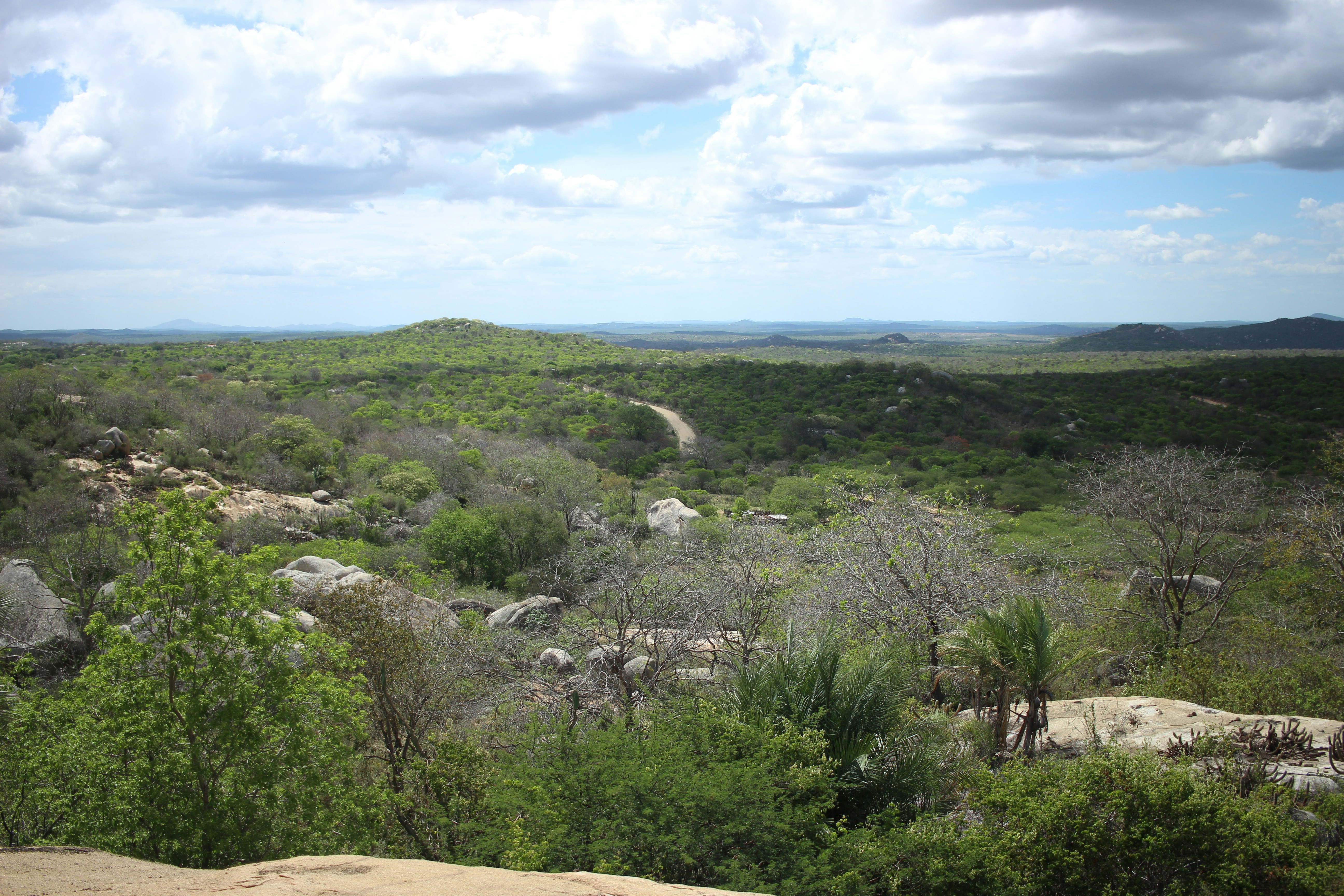 Photo by otaciliomaia