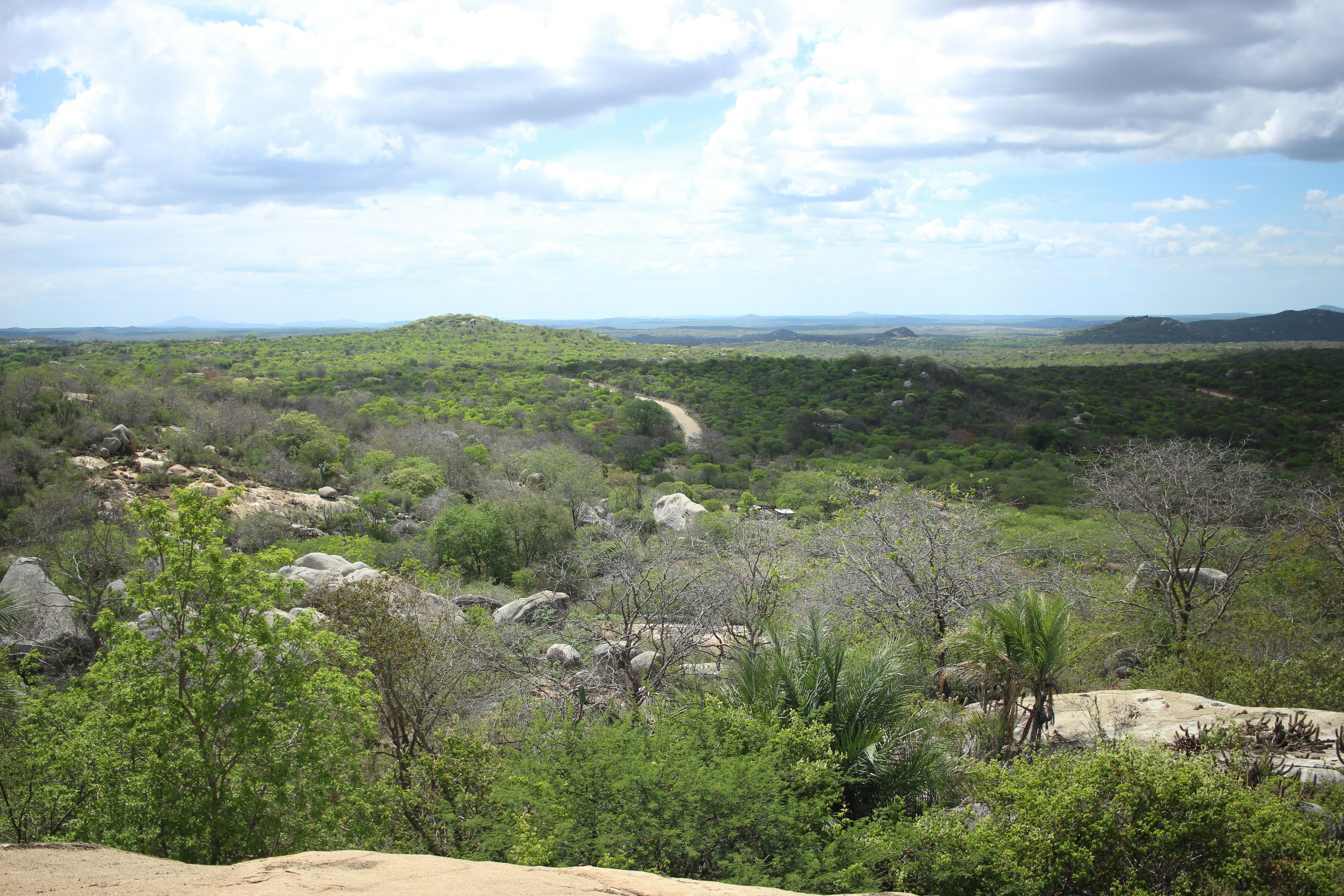 Photo by otaciliomaia