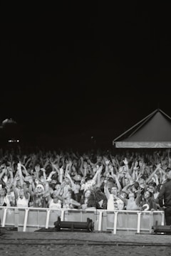 Crowd waving hands at aneeq malik's outdoor concert at dusk.