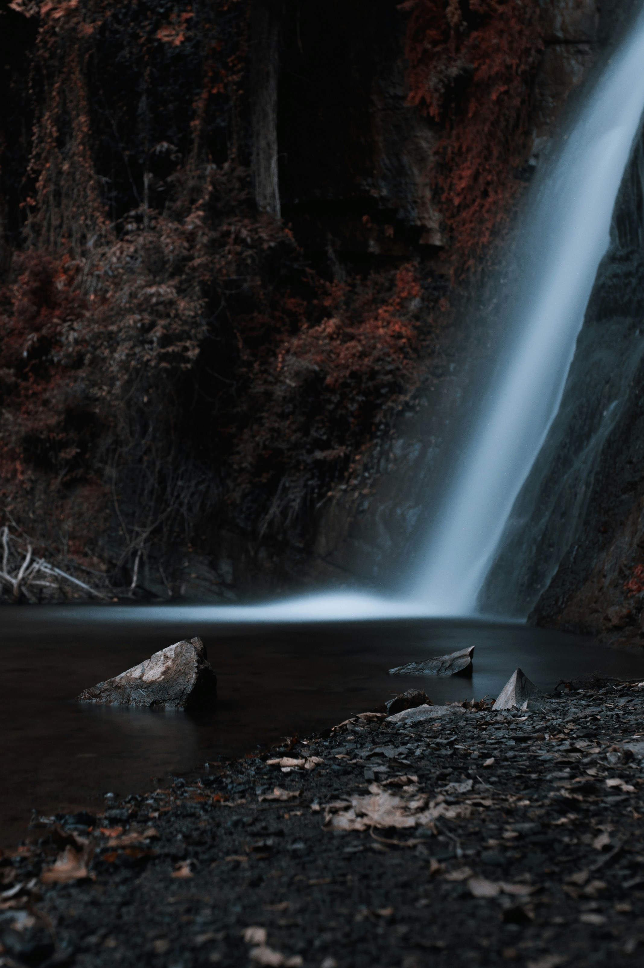 Photo by evil_bumblebee