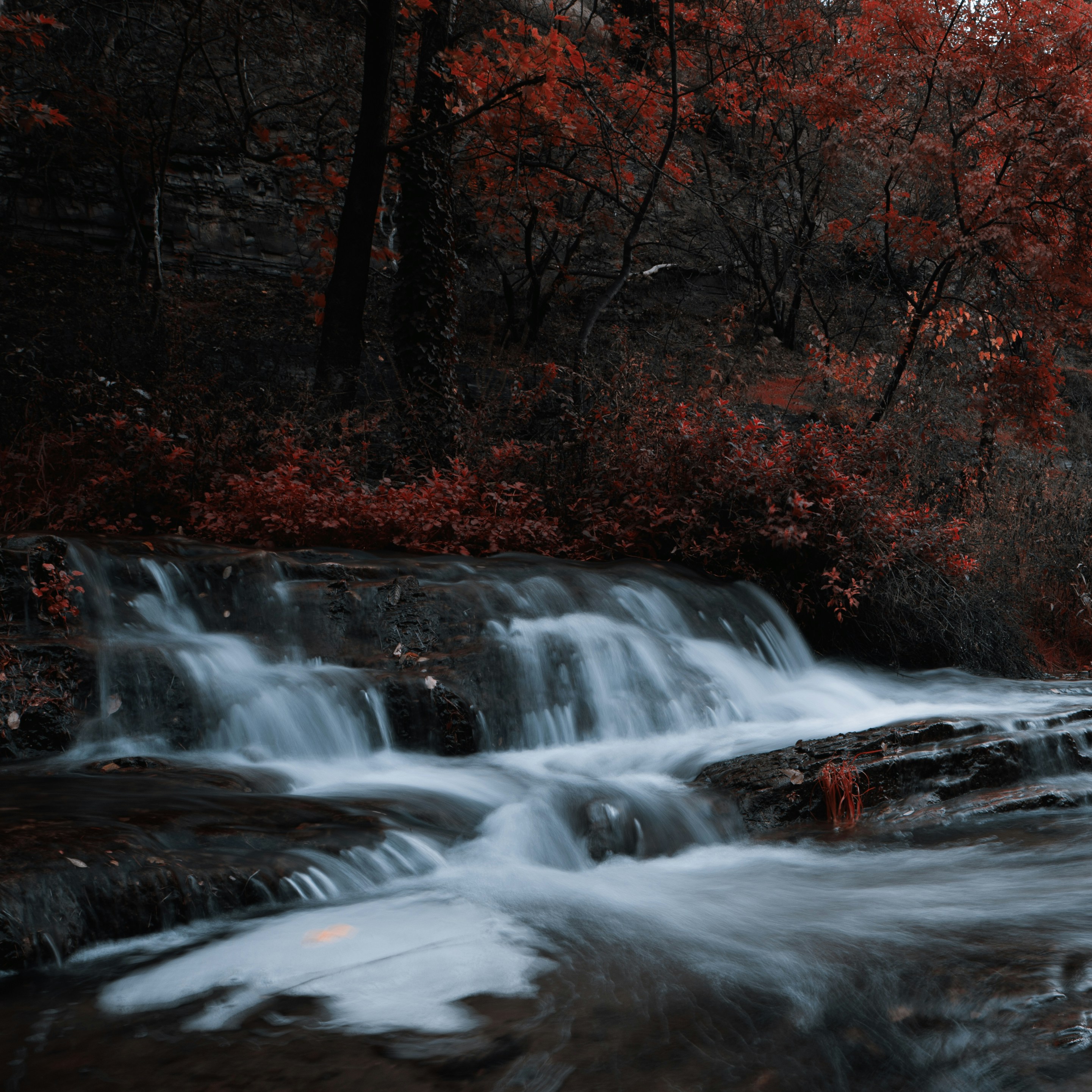 Photo by evil_bumblebee