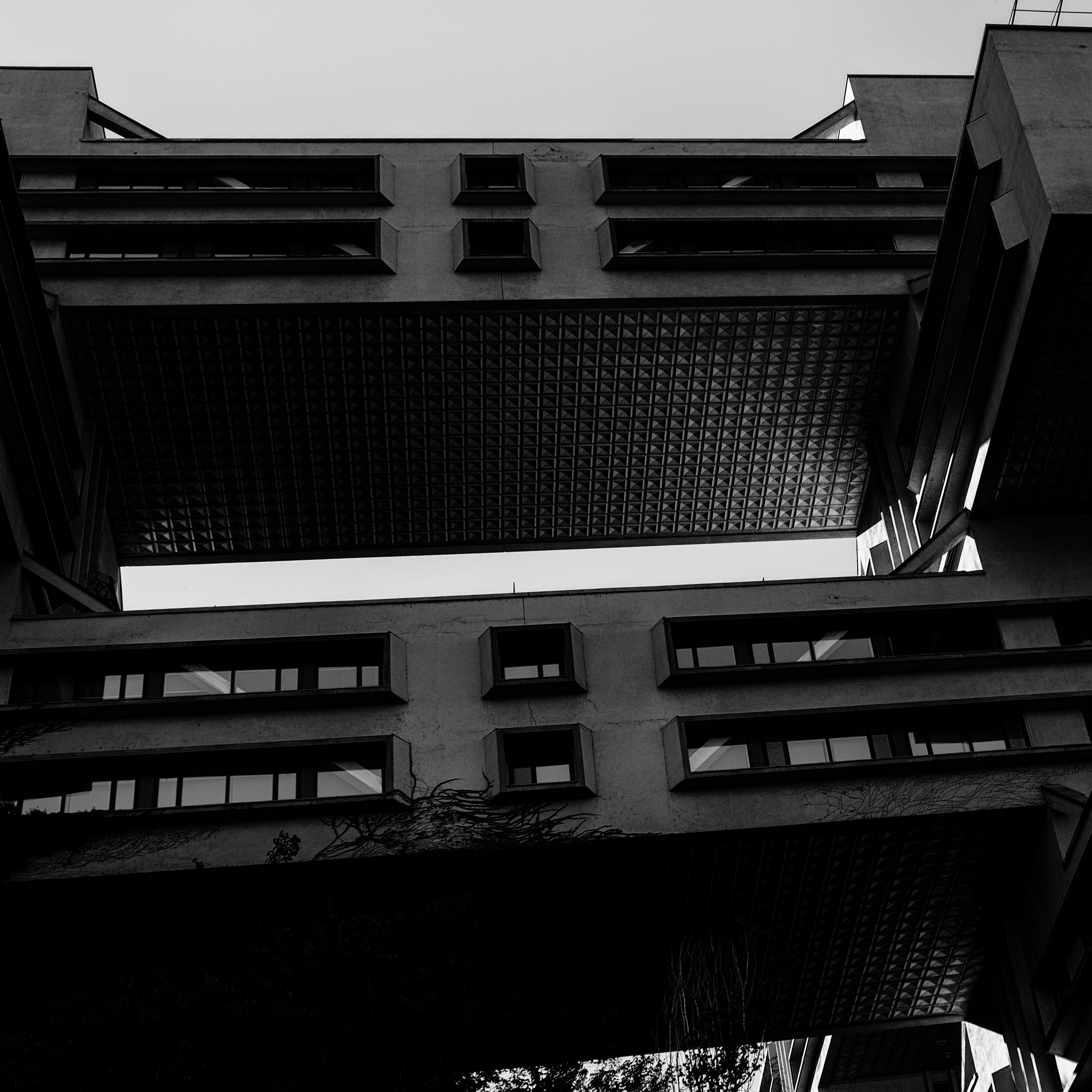 Photo by evil_bumblebee