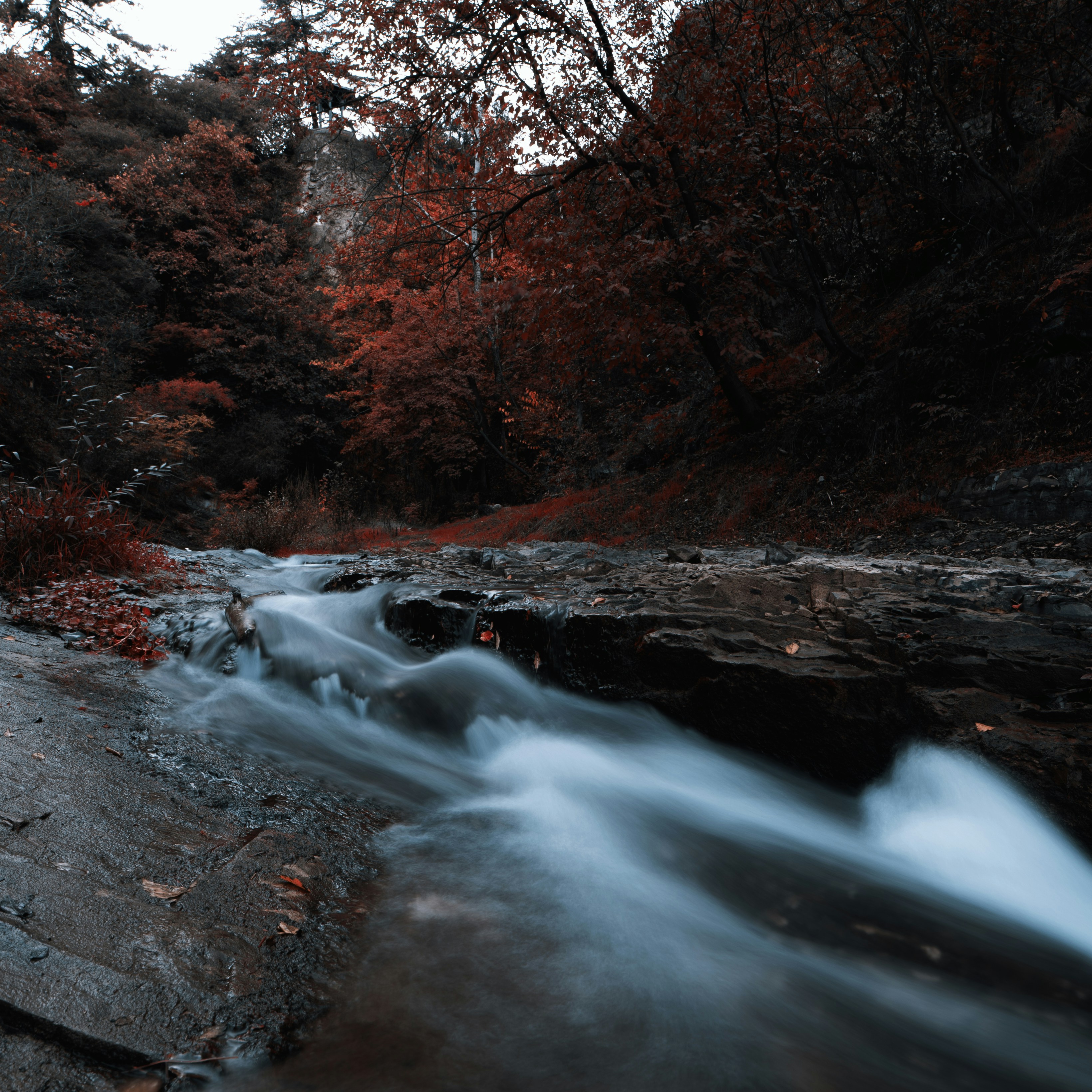 Photo by evil_bumblebee