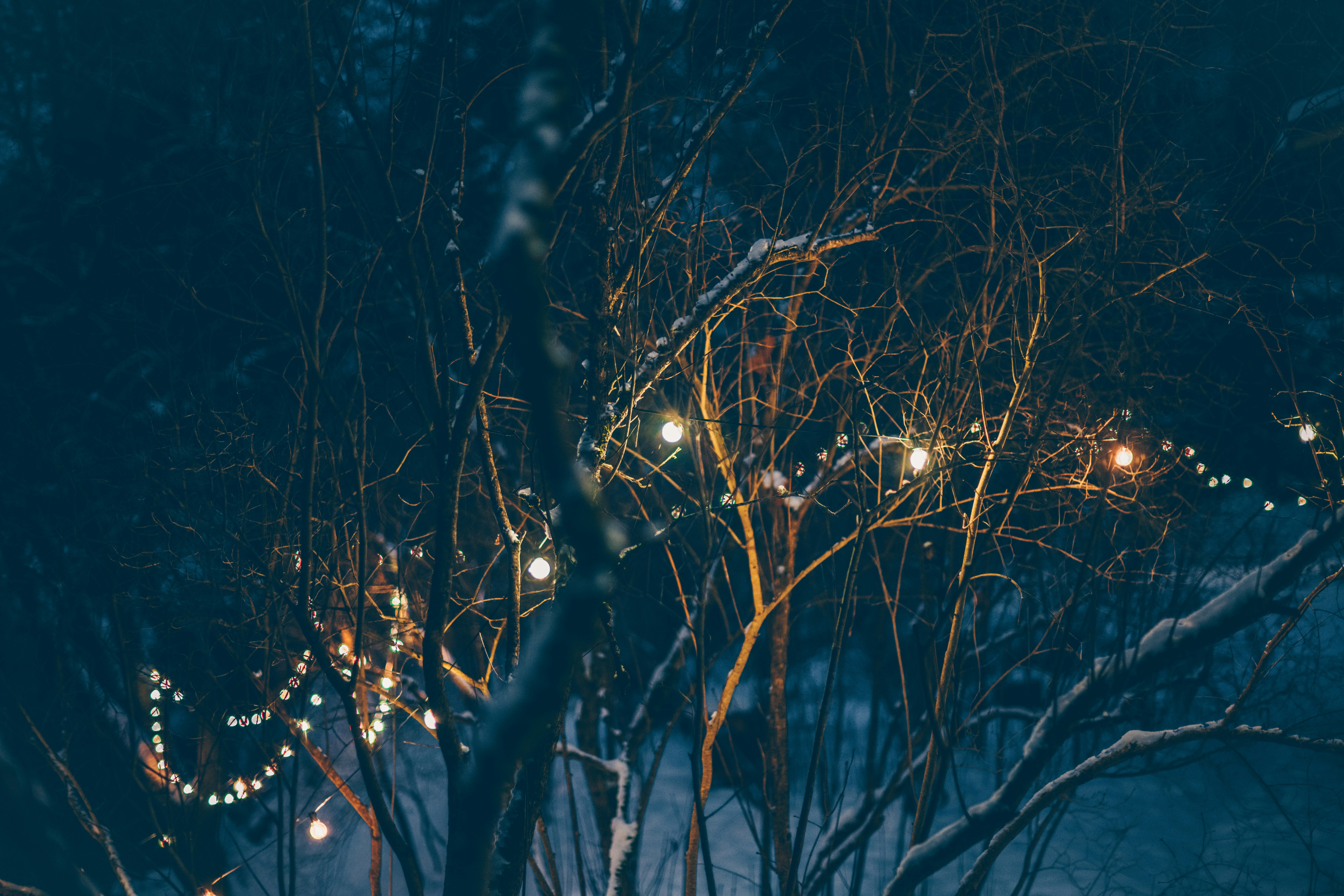 Photo by anitaaustvika