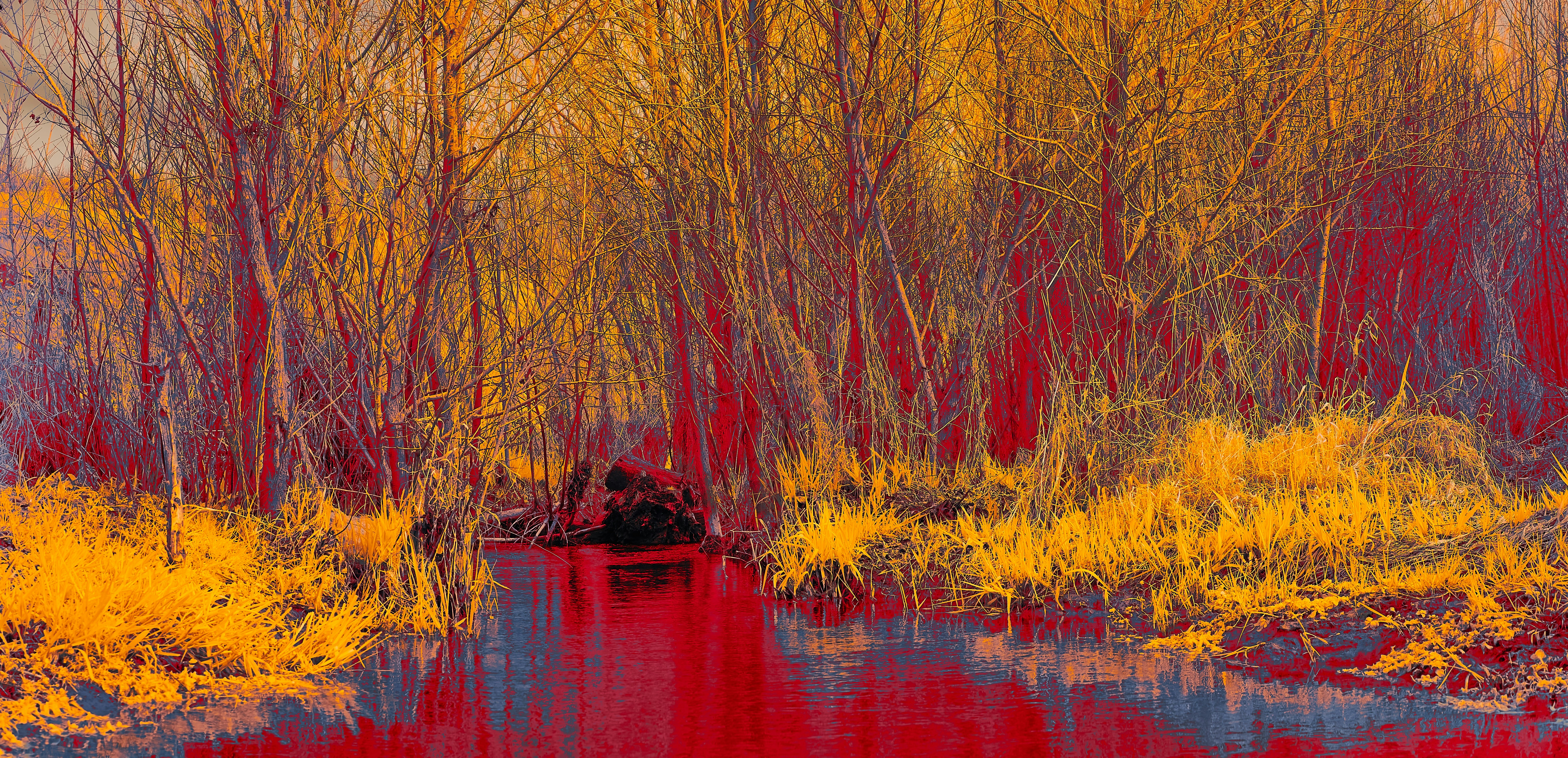 Photo by wolfgang_hasselmann