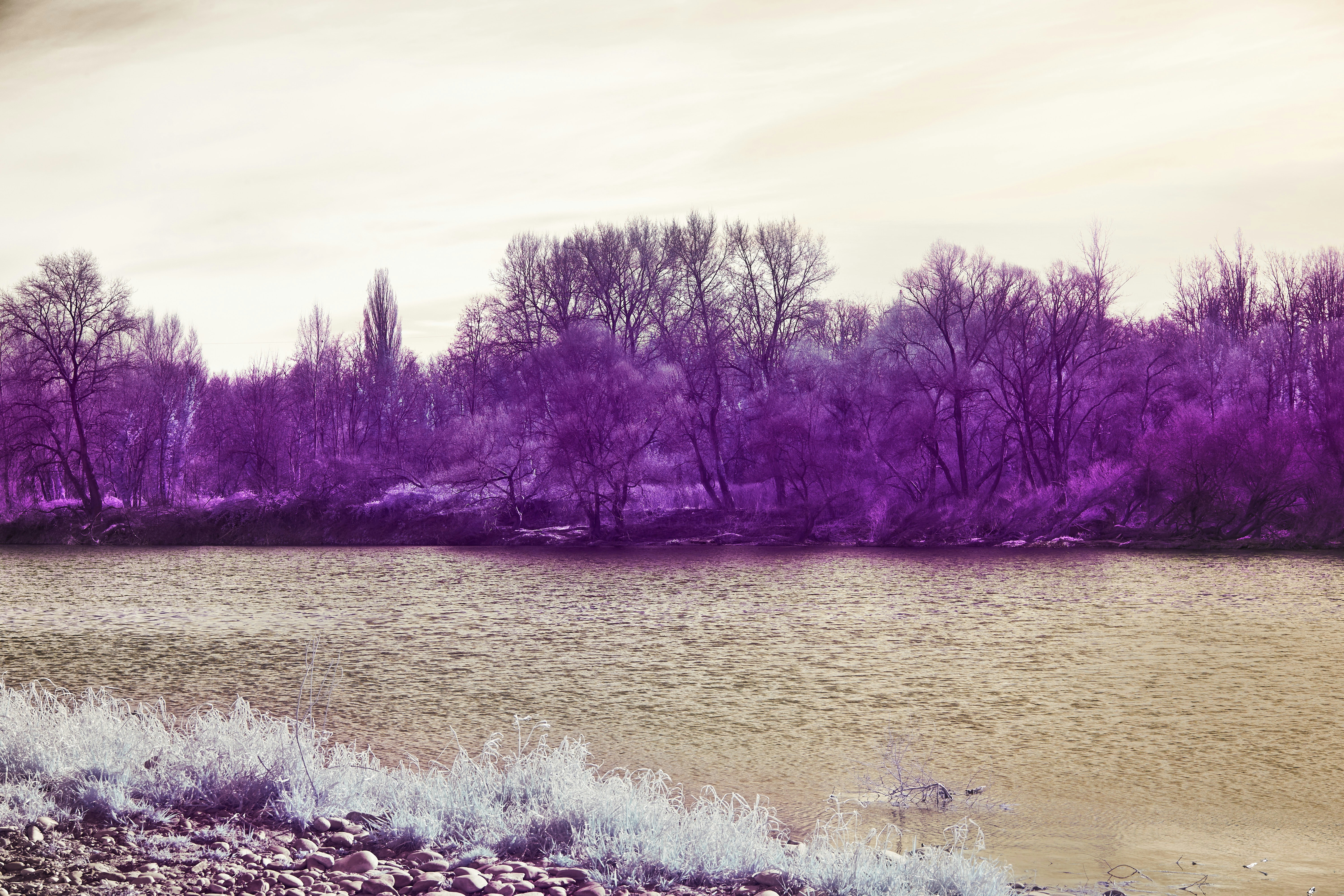 Photo by wolfgang_hasselmann