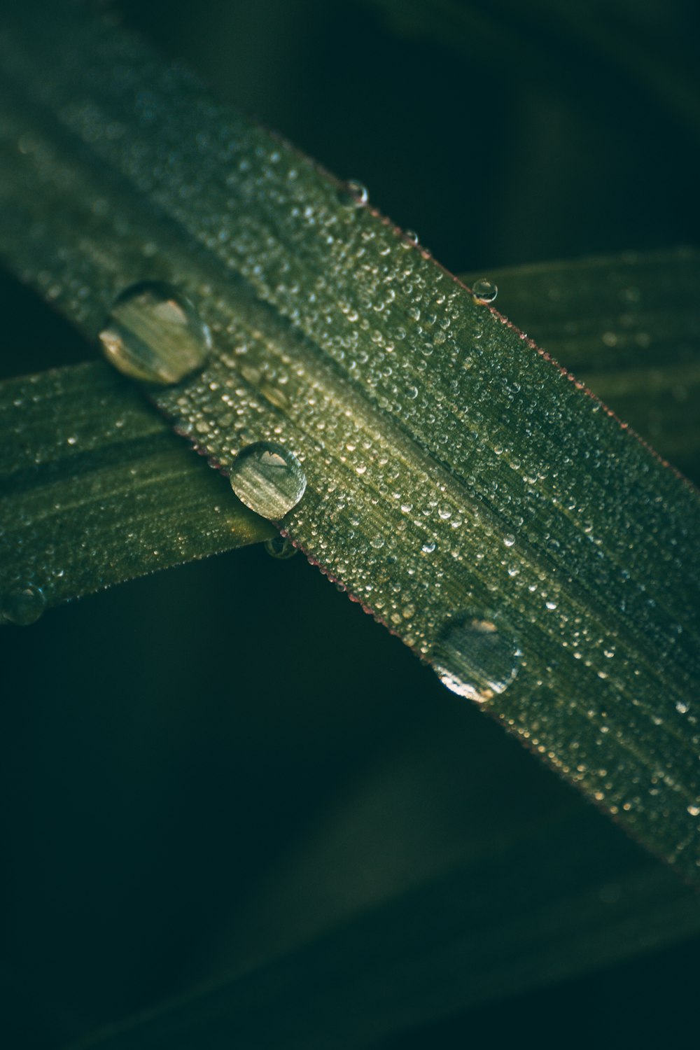 a close up of a green metal object