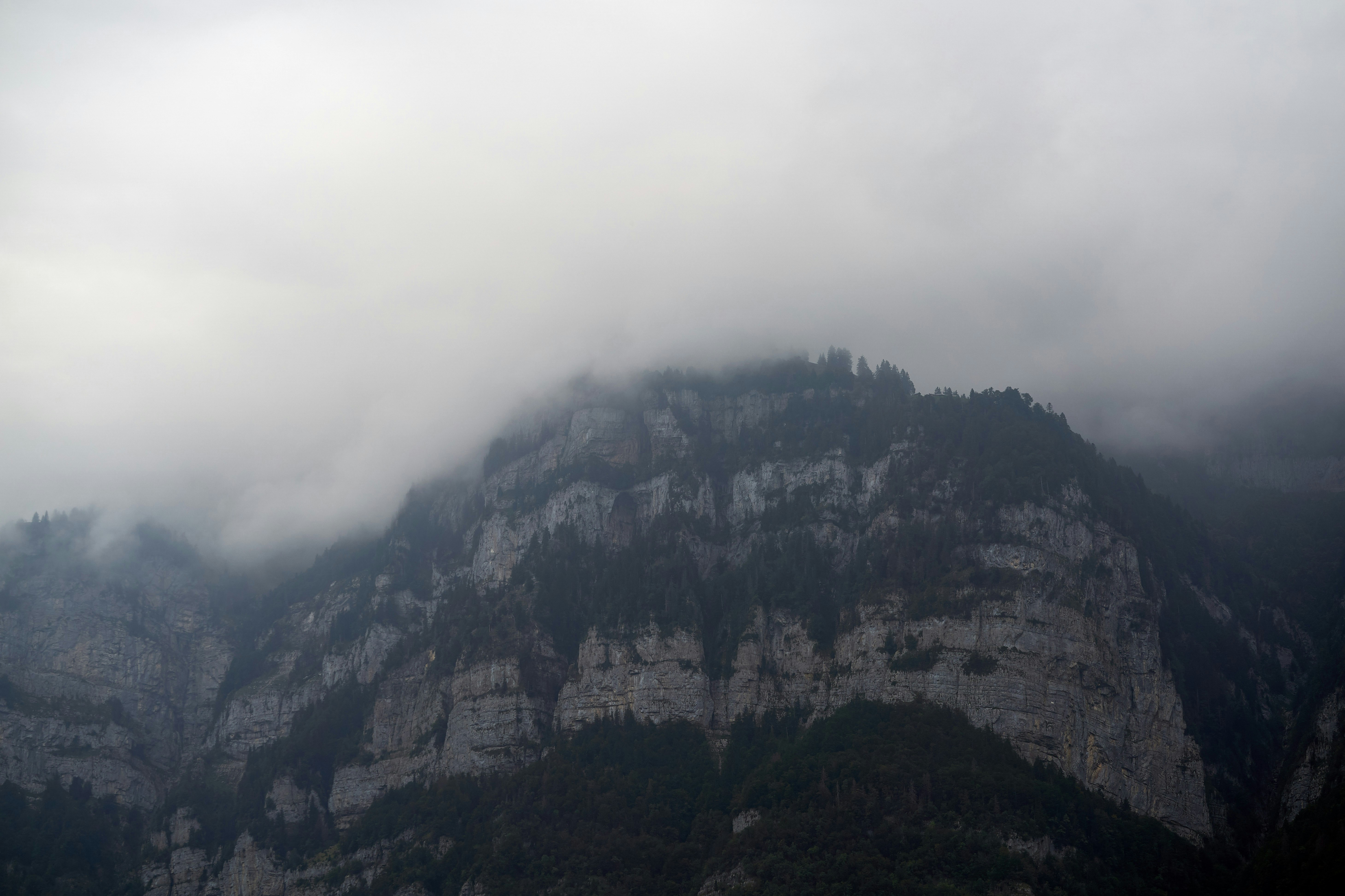 Photo by wolfgang_hasselmann