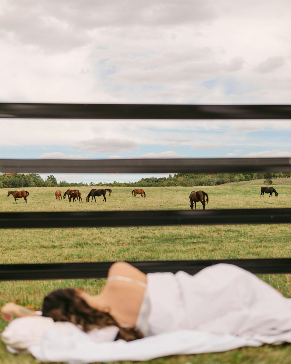 a person looking at a group of horses in a field