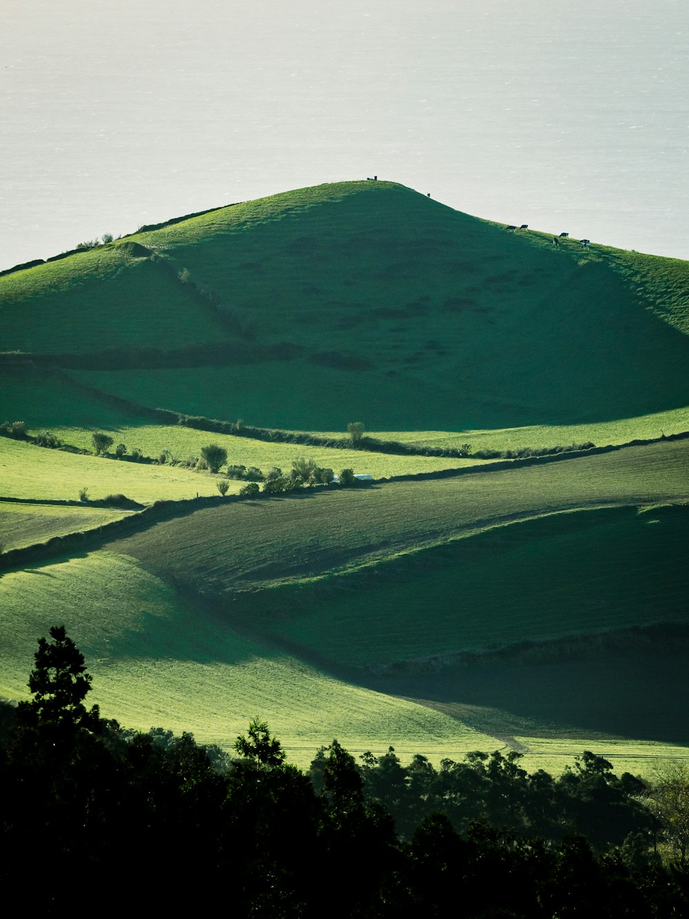 a green hilly landscape