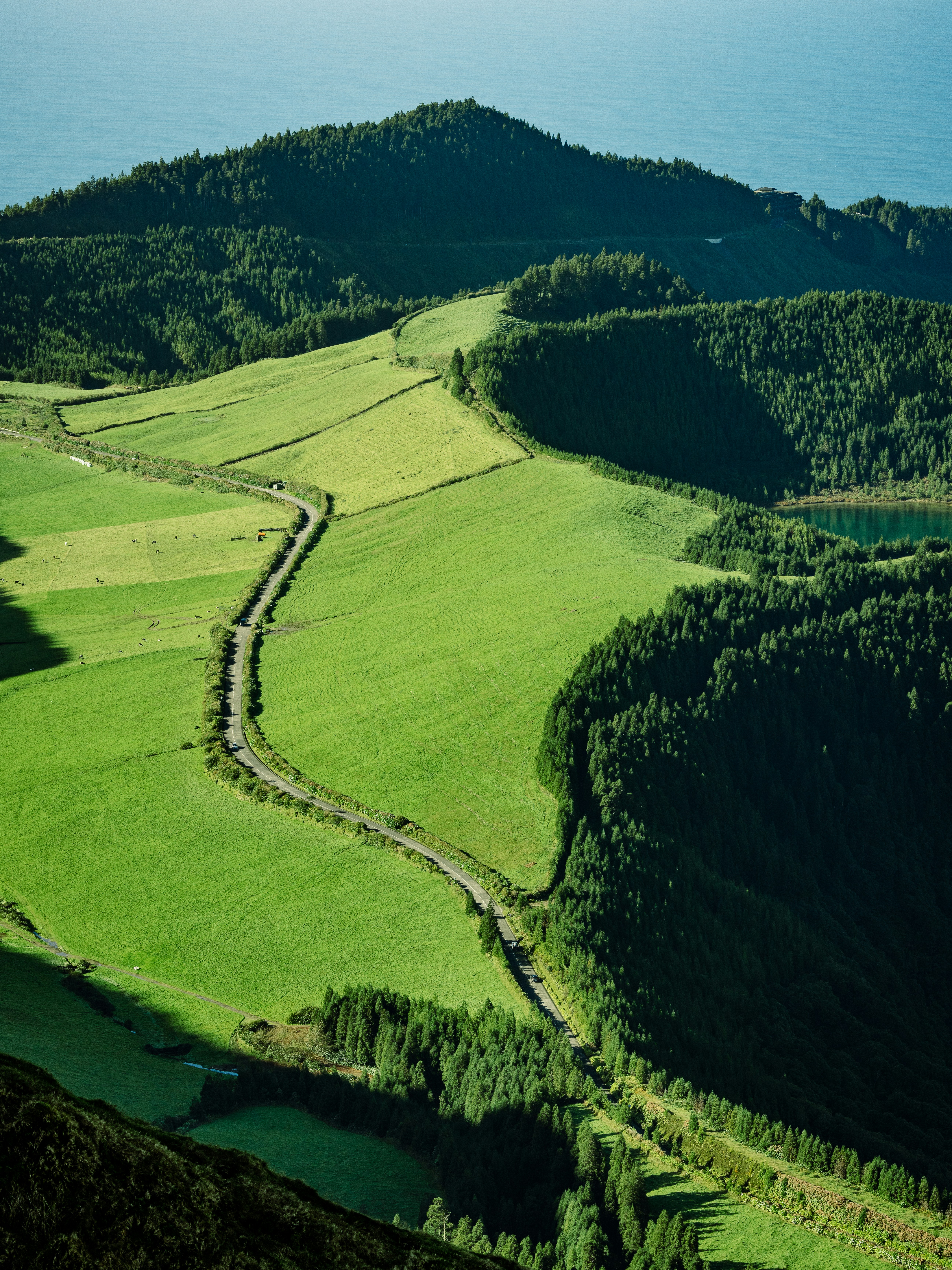 a large green landscape
