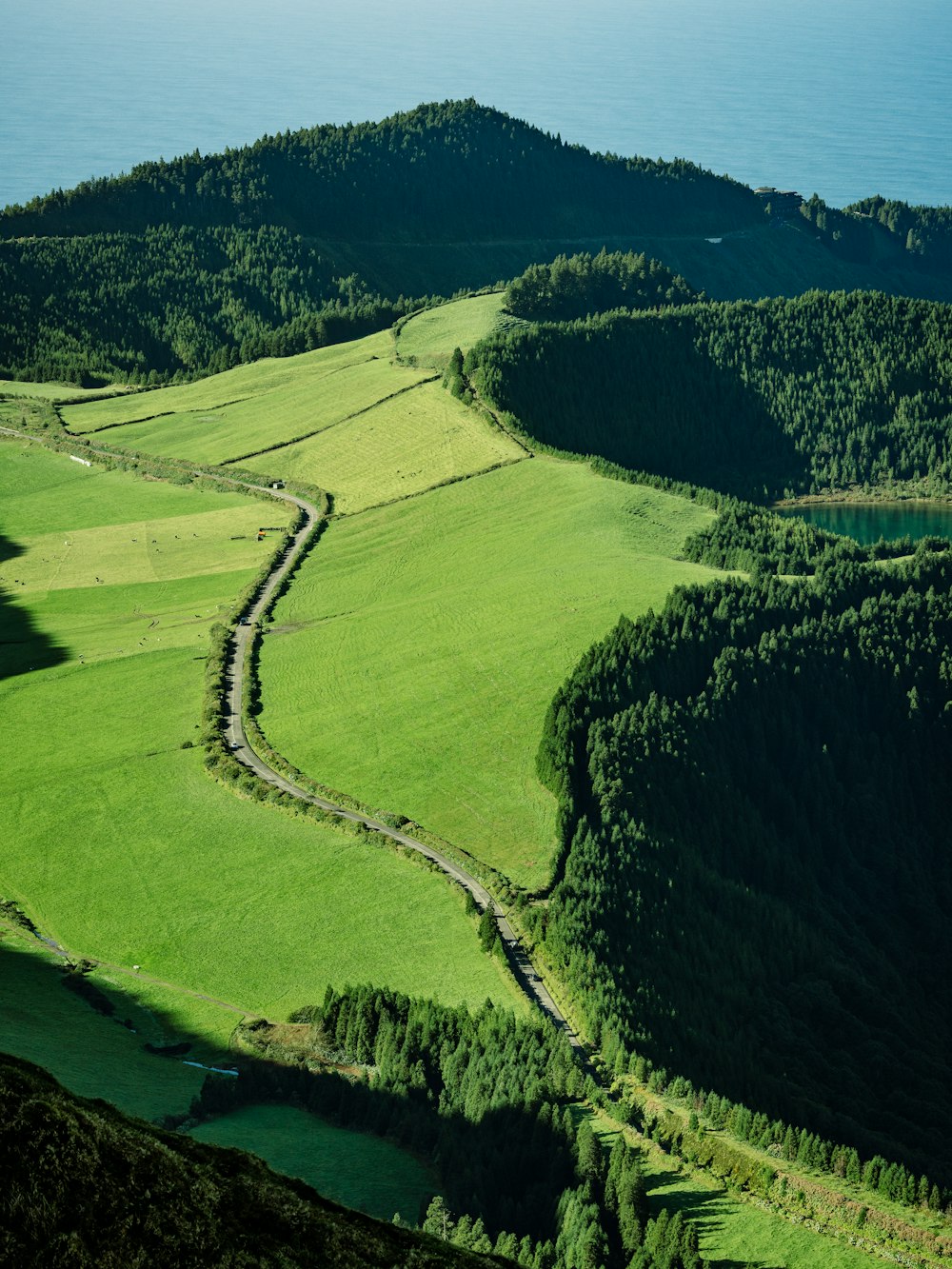 a large green landscape