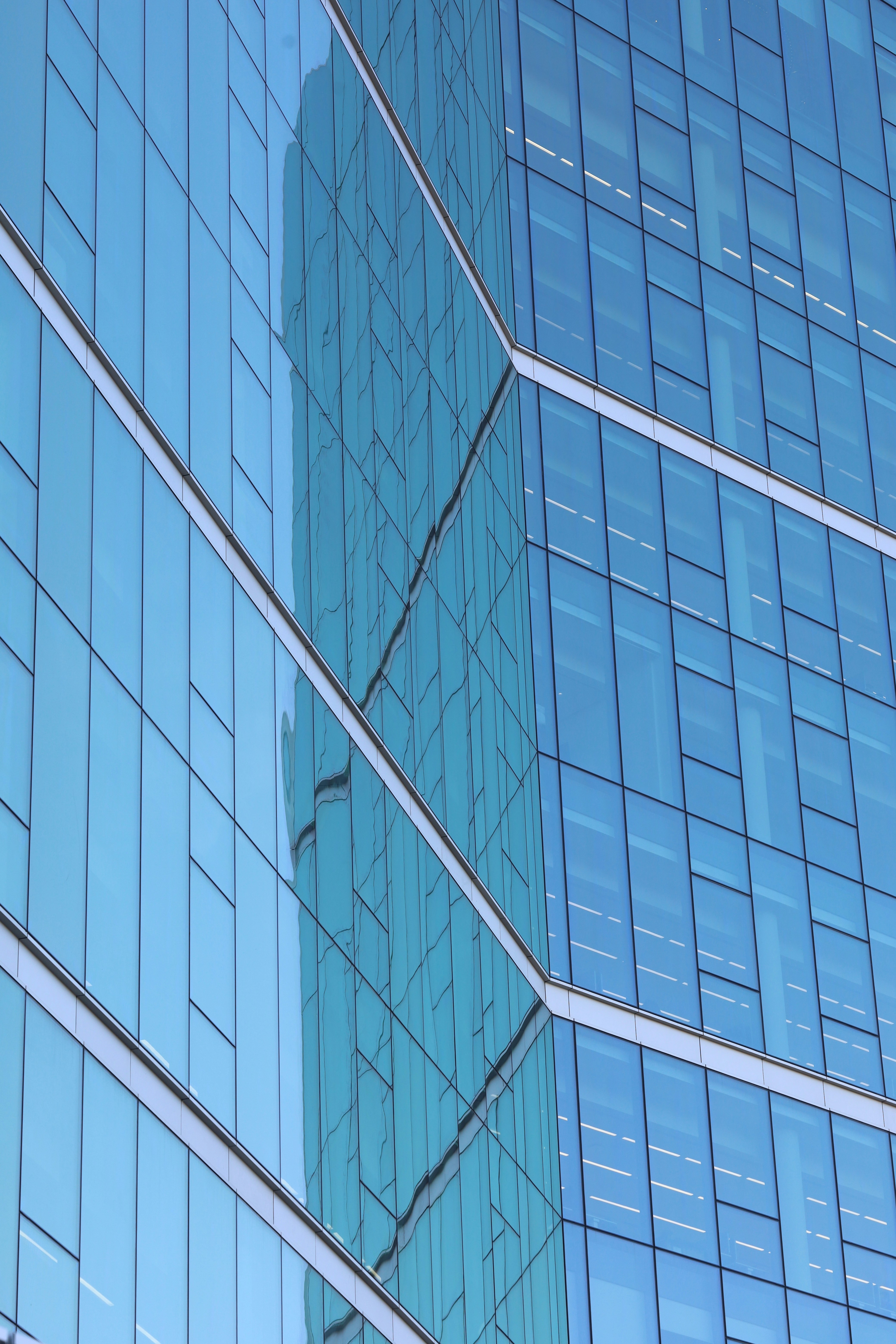 Selladores y películas de seguridad