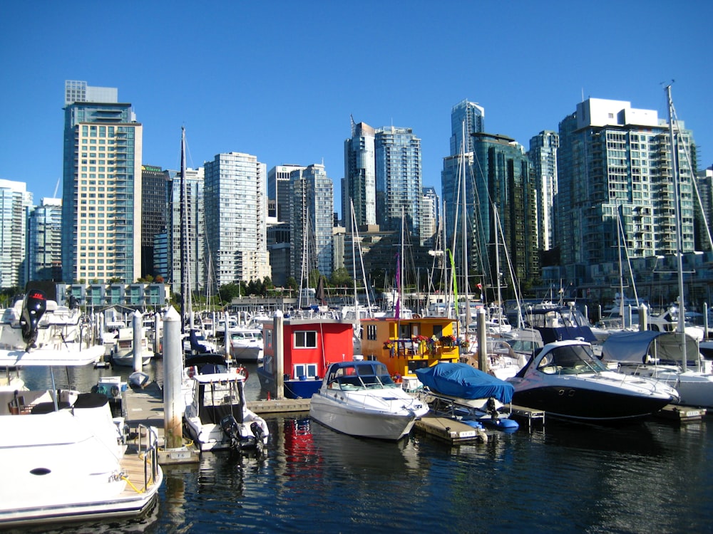 boats in a harbor