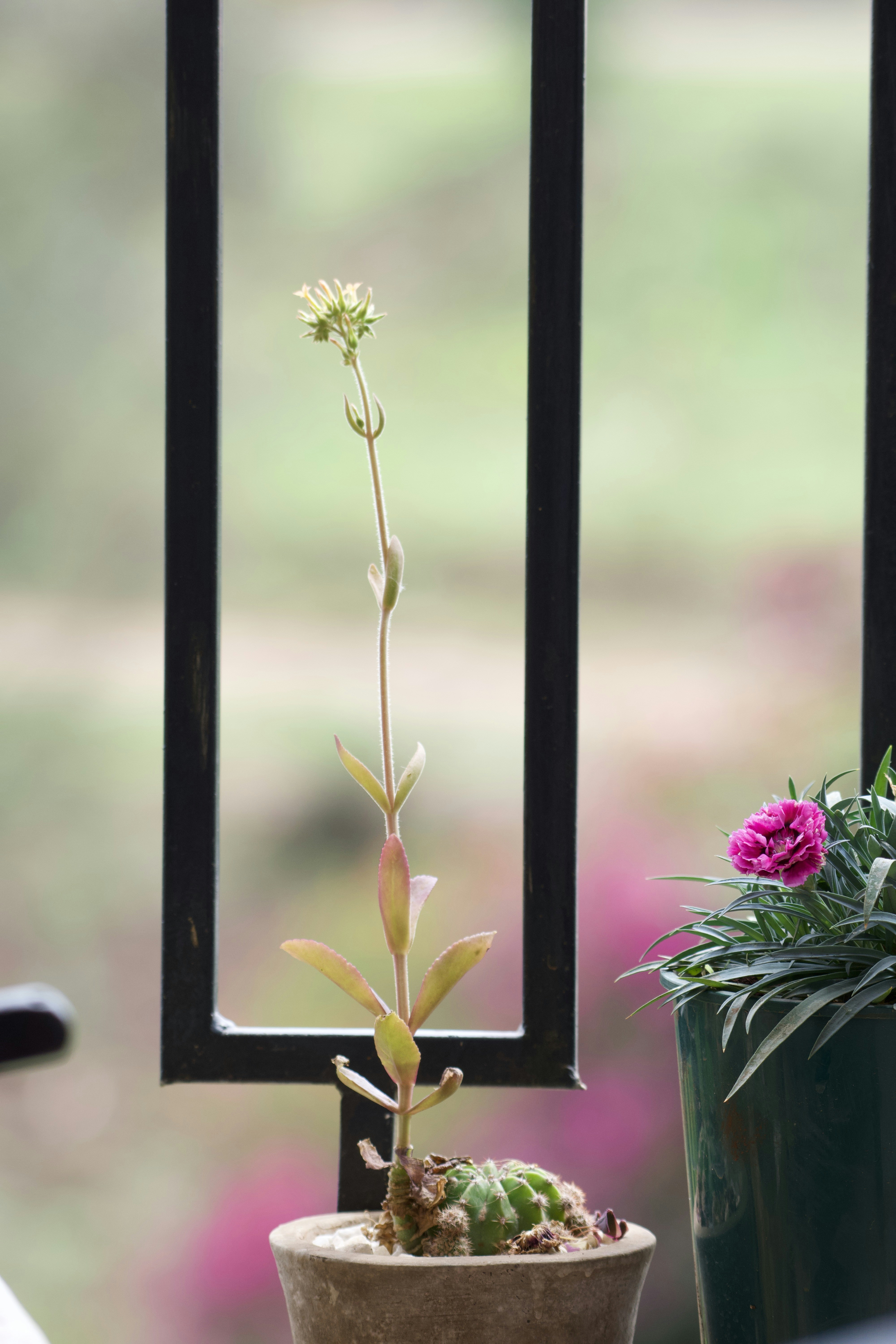 Photo by julius_ngigi